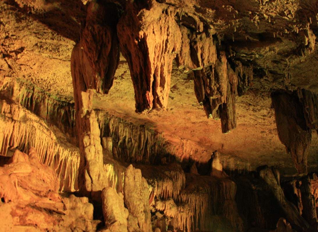 Sataplia Reserve and Dinosaur Footprints