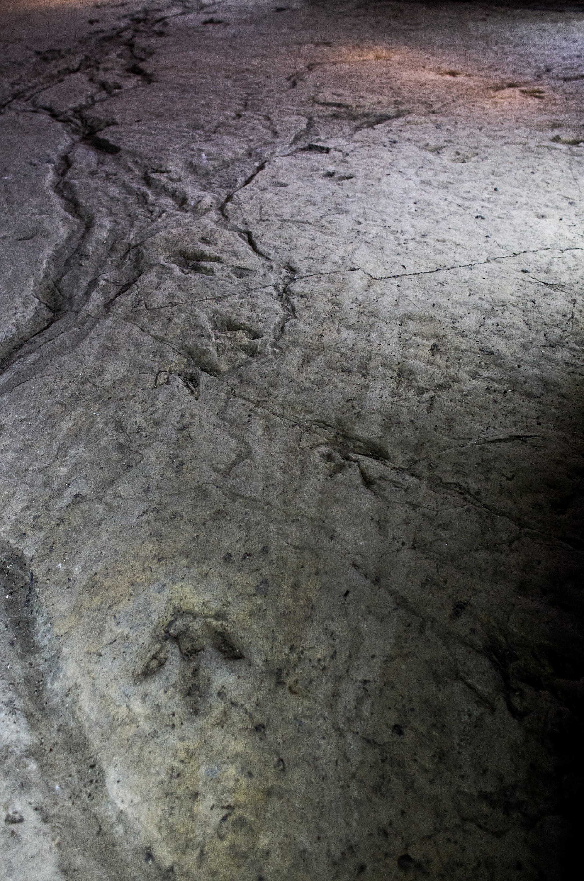 Sataplia Reserve and Dinosaur Footprints