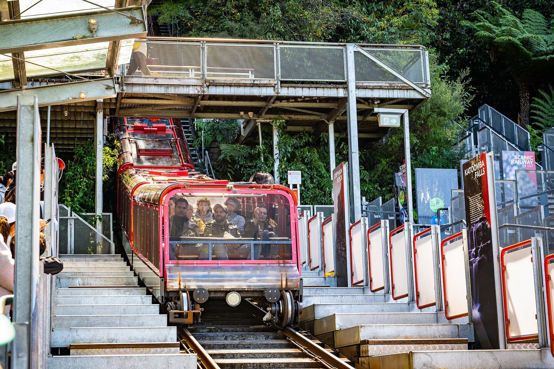Scenic World