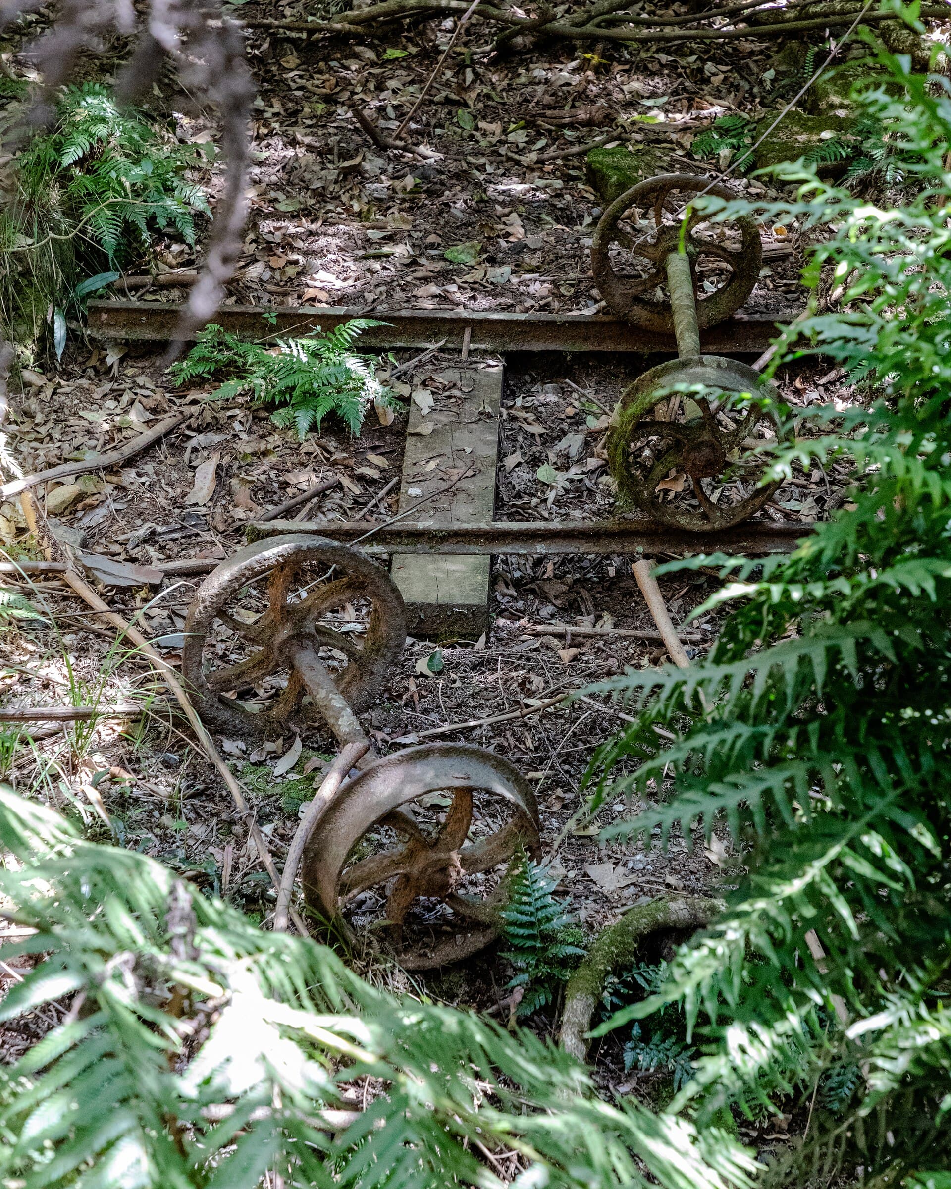 Scenic World