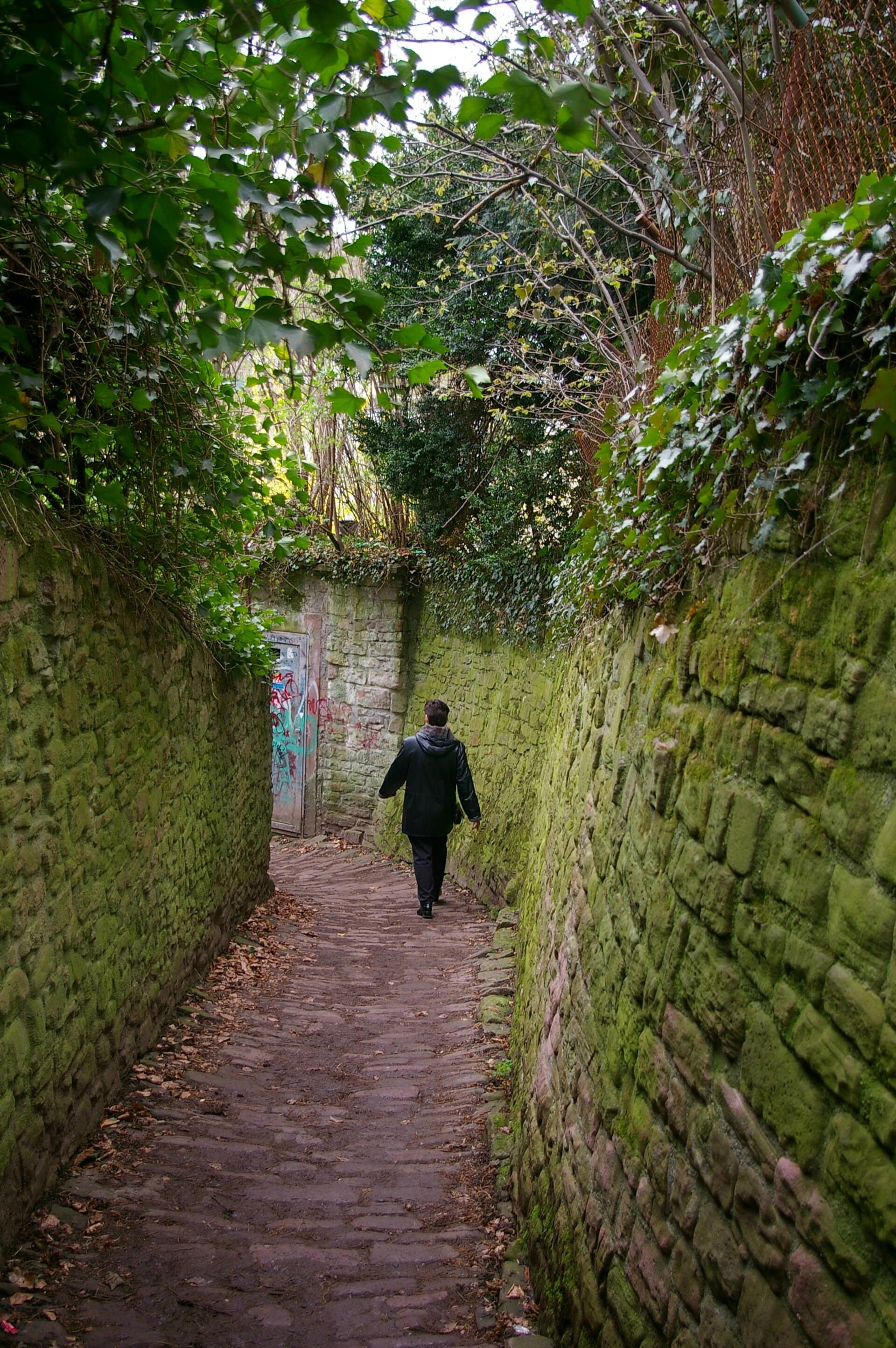 The Schlangenweg, Heidelberg