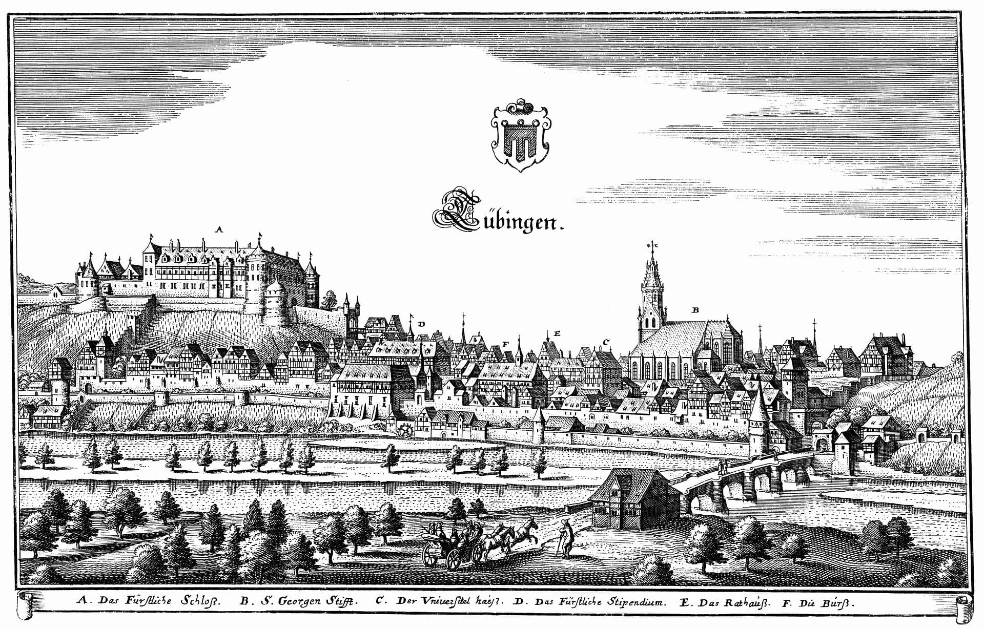 Hohentubingen Castle and Museum of Ancient Cultures, Tubingen