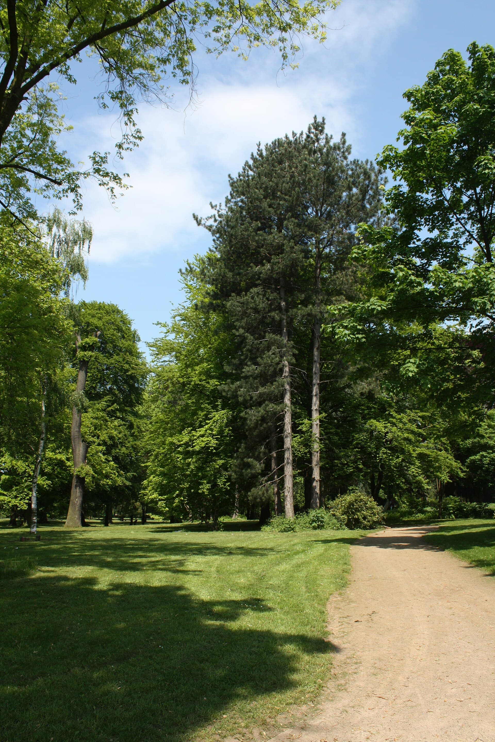 The circuit path through the English-style park