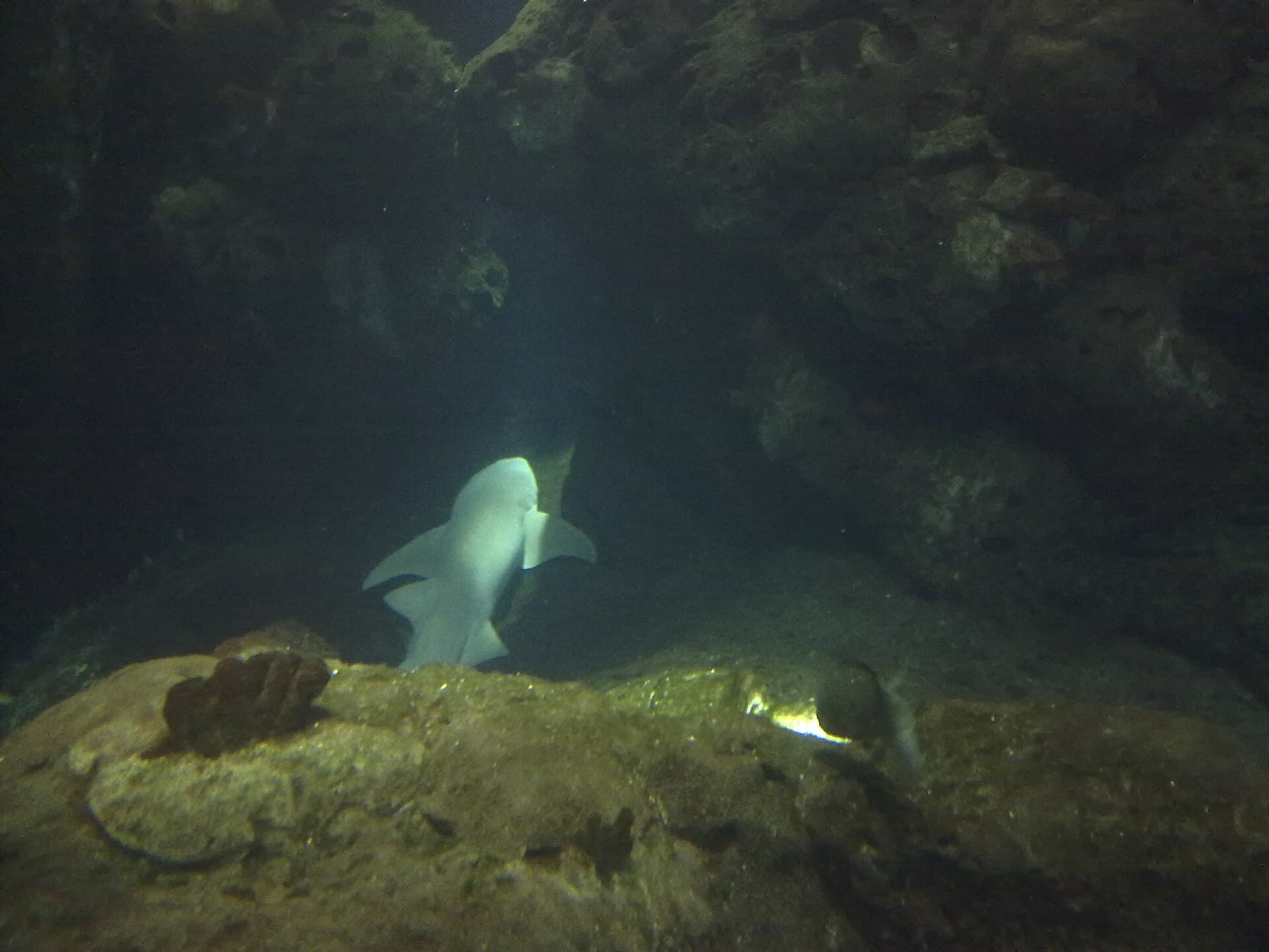 The Scientific Center