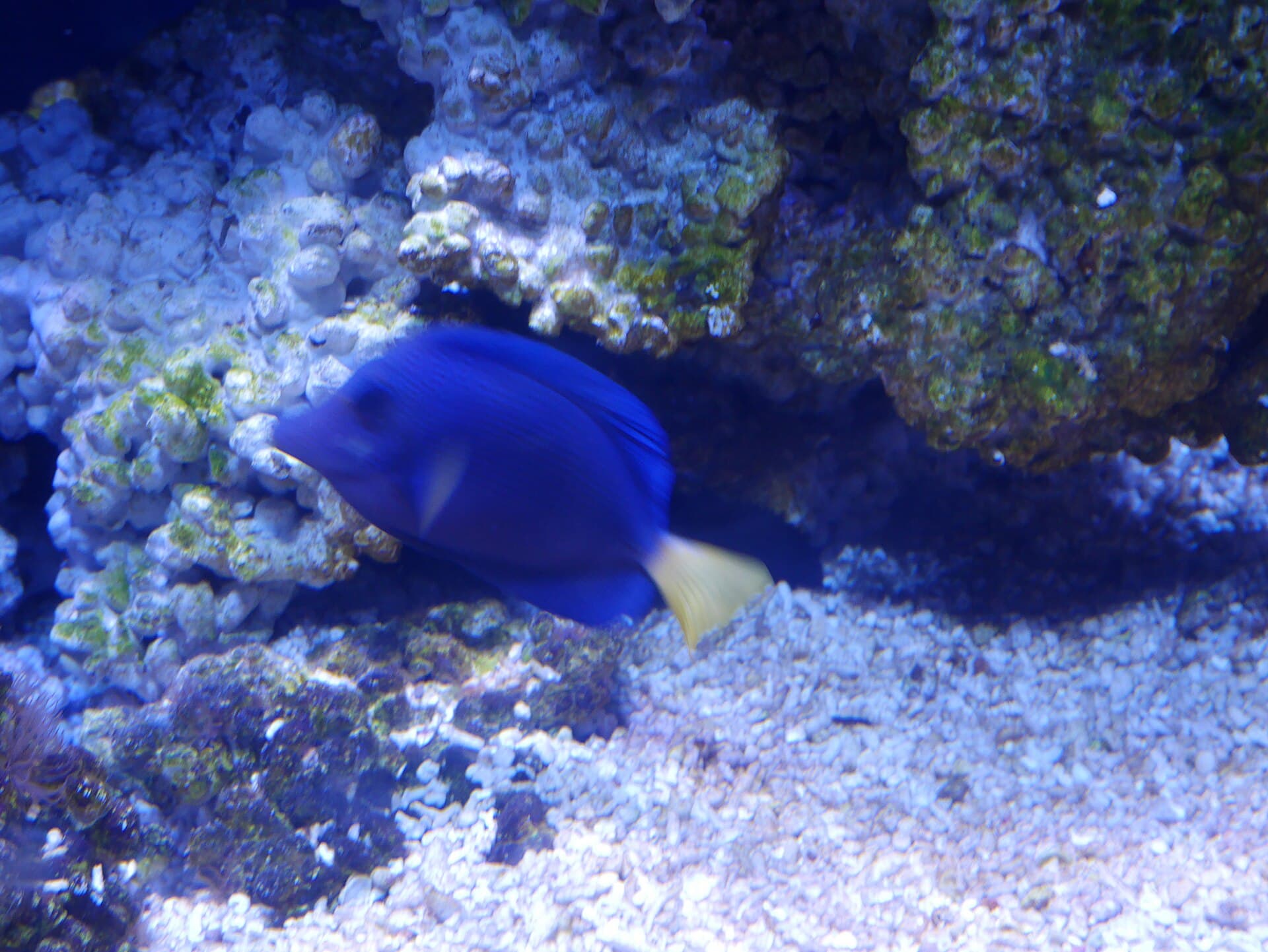 SEA LIFE Bangkok Ocean World, Bangkok