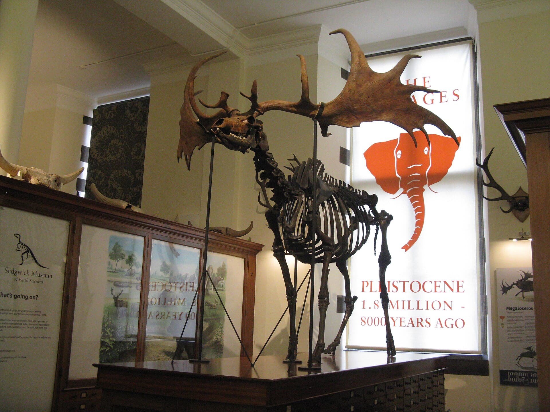 Sedgwick Museum of Earth Sciences, Cambridge