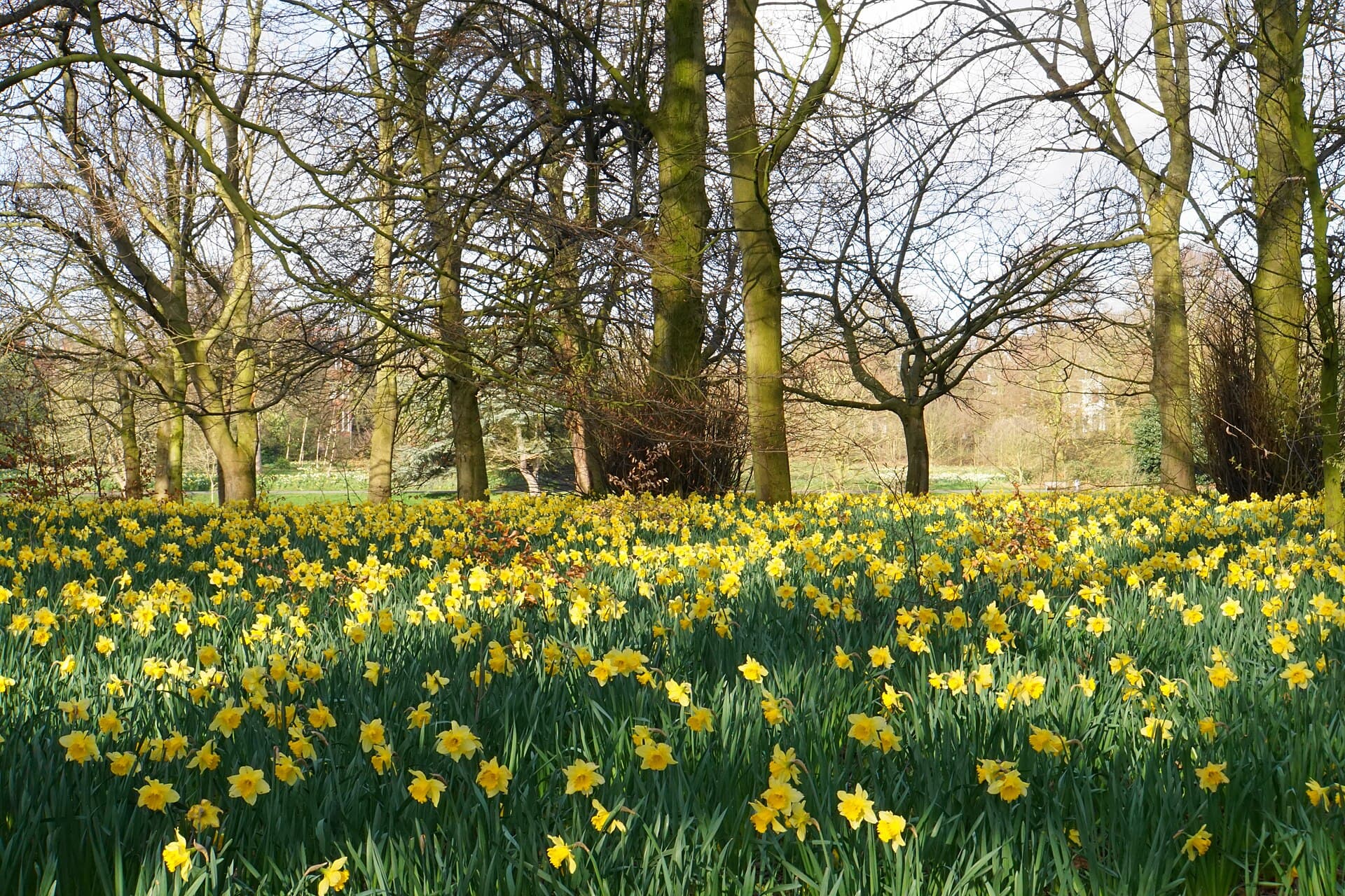 Sefton Park, Liverpool