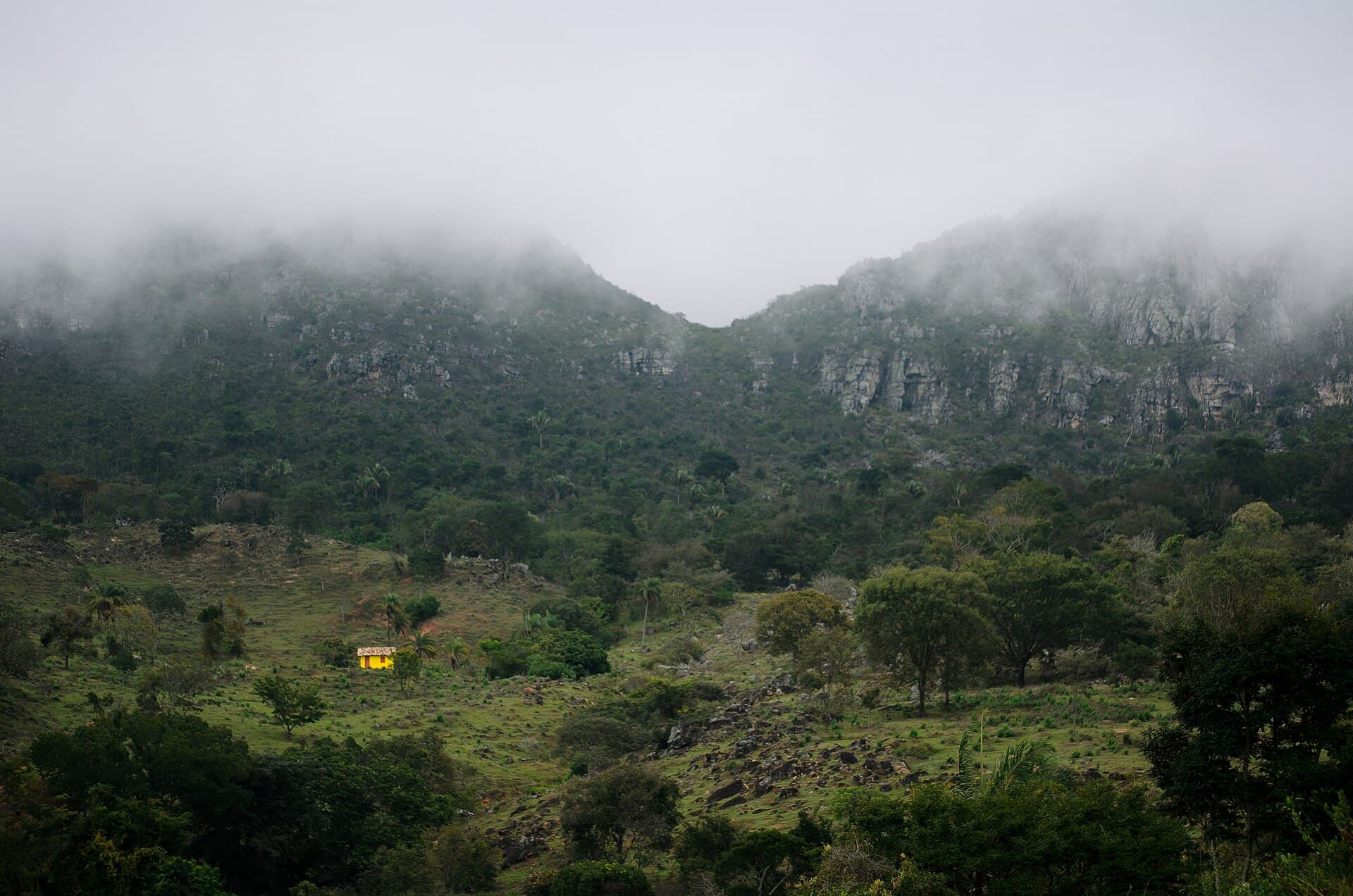 Sempre-Vivas National Park, Diamantina