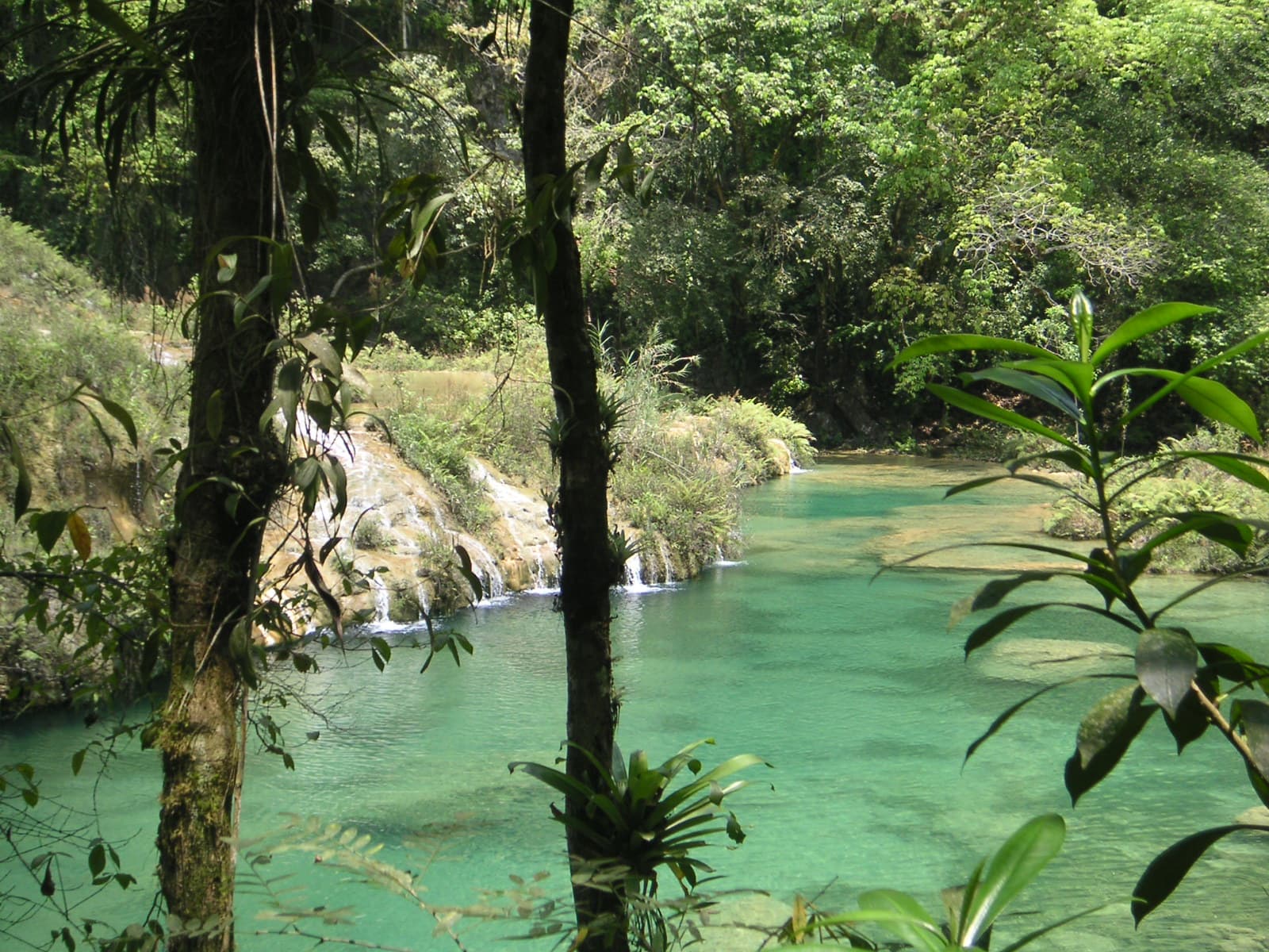 Turquoise pools of Semuc Champey