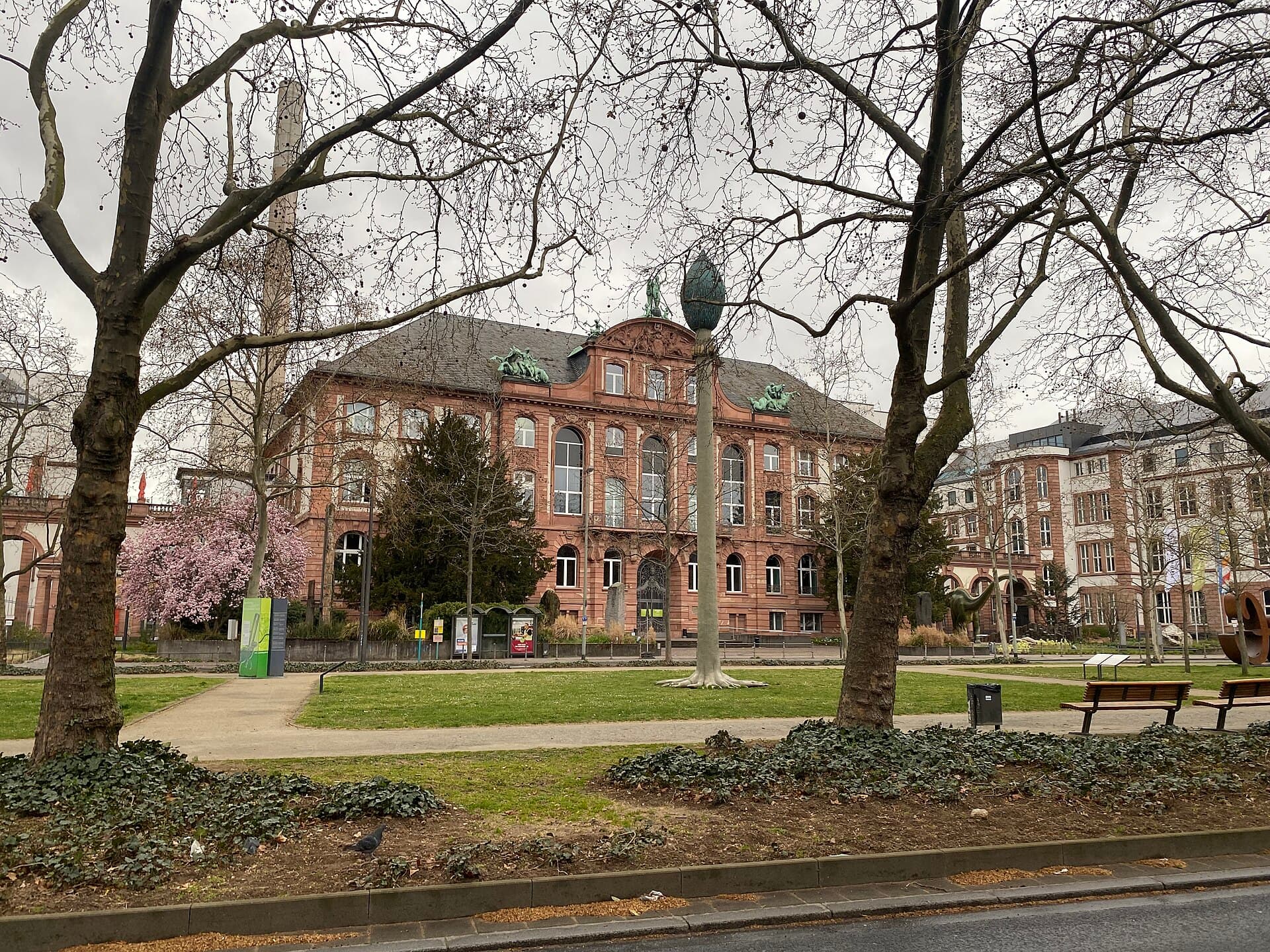 Senckenberg Nature Museum