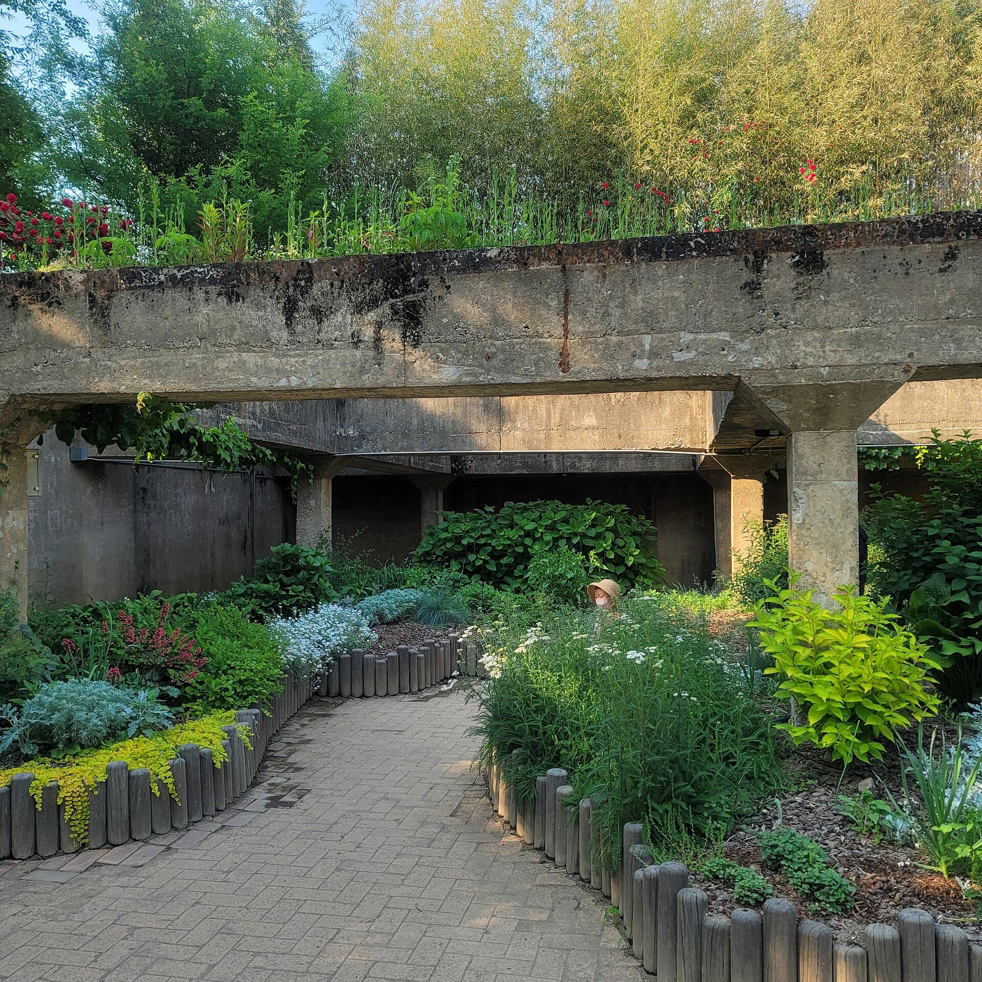 Seoul Forest
