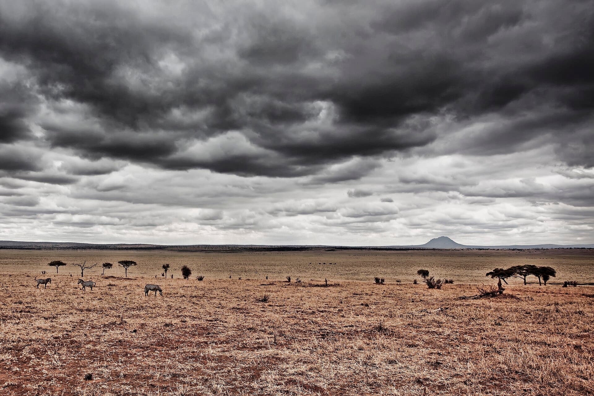 Serengeti National Park, Serengeti