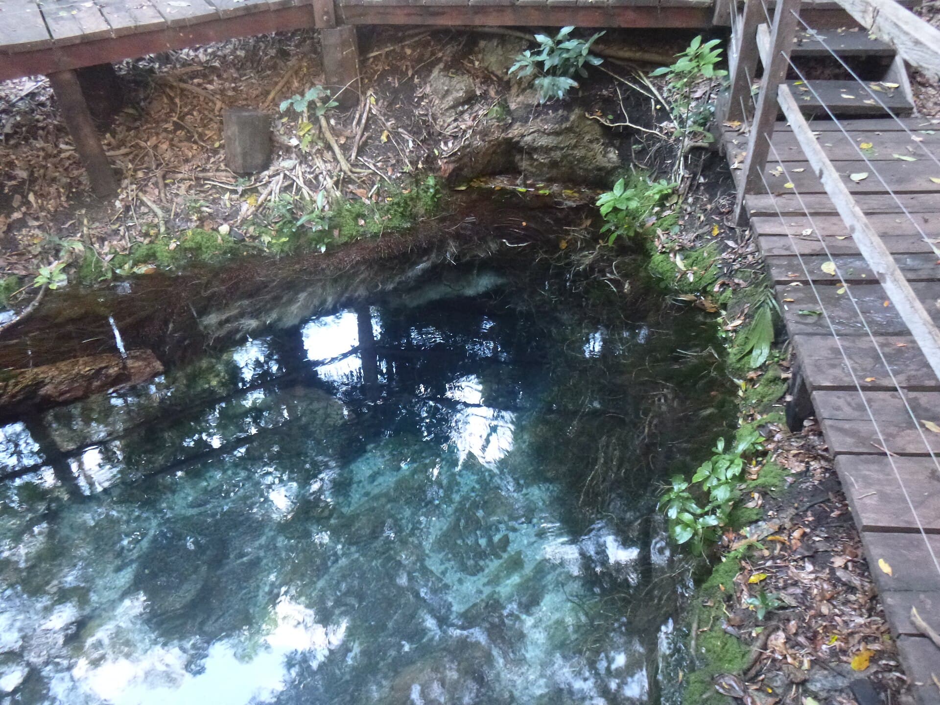 Serra da Bodoquena National Park, Bodoquena