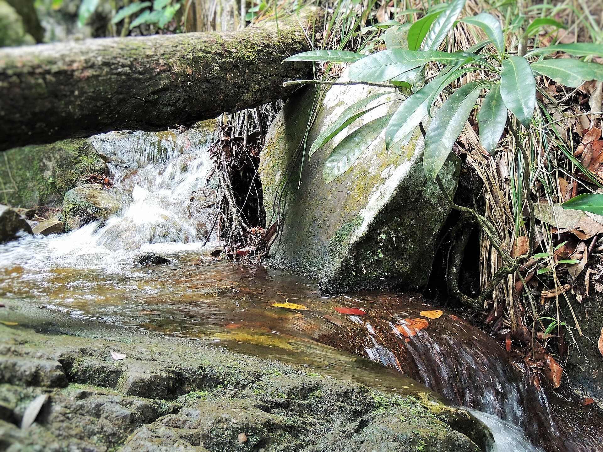 Serra de Itabaiana National Park, Itabaiana