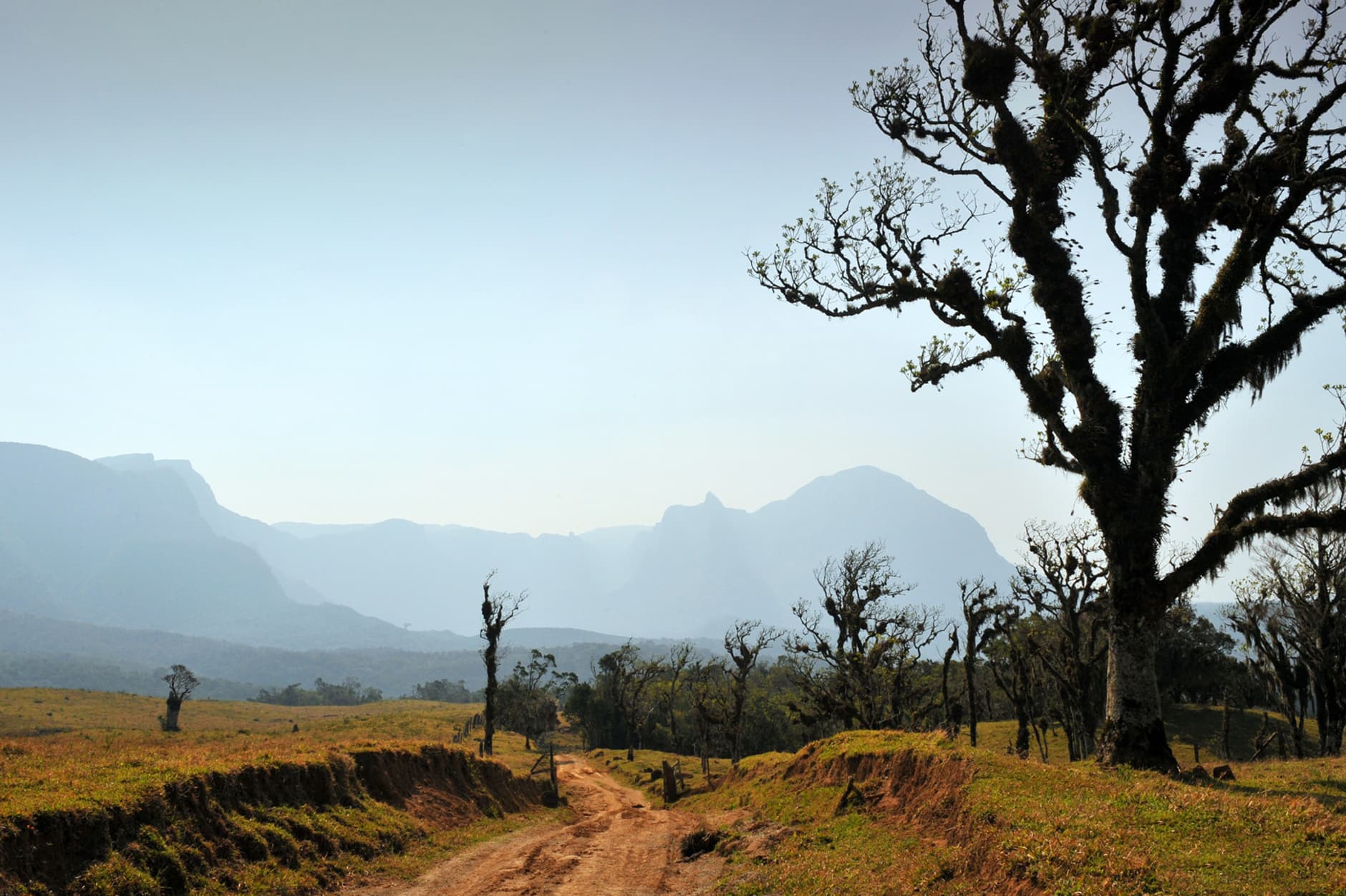 Serra do Corvo Branco, Urubici