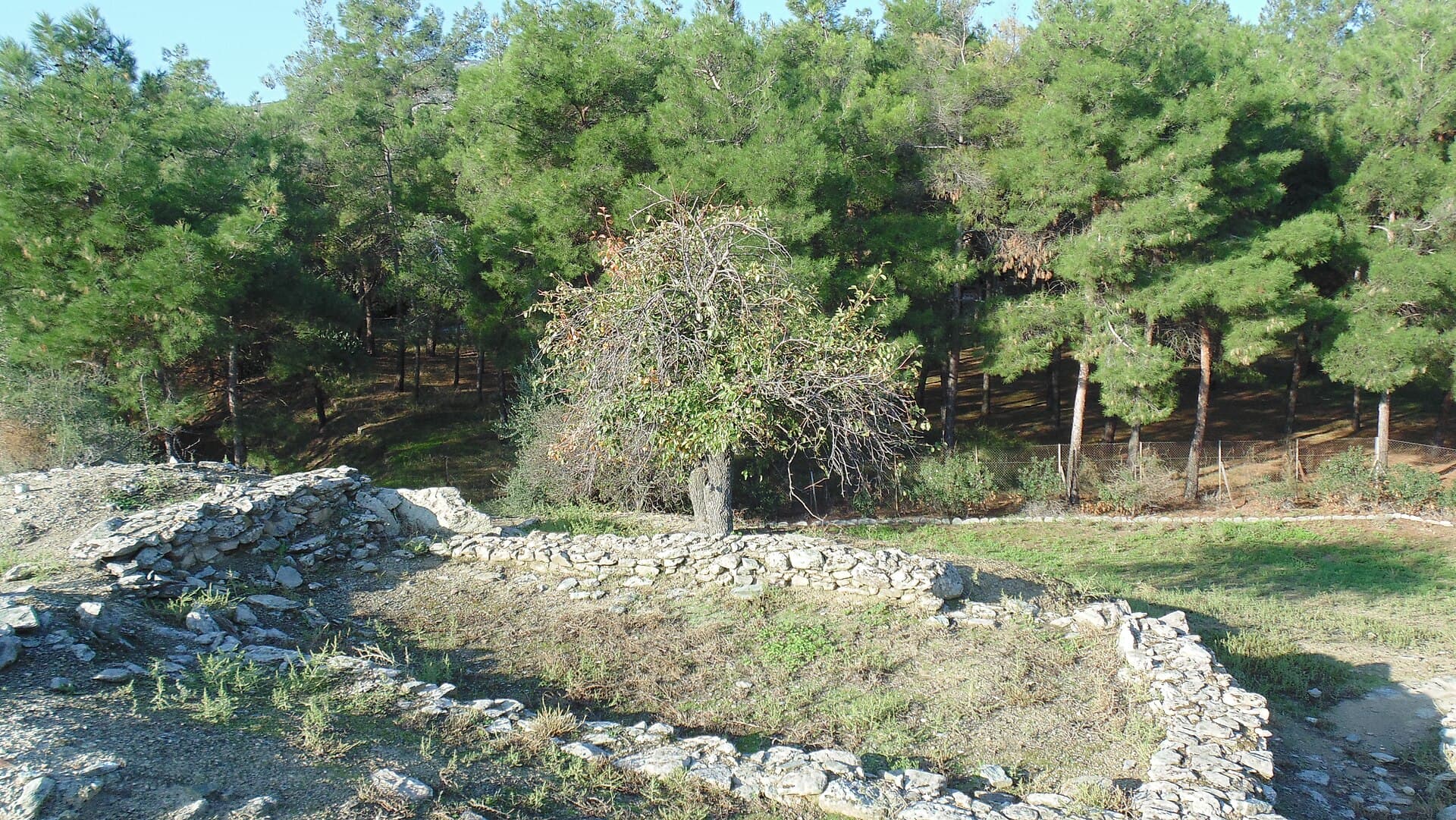 Sesklo, Volos and Pelion
