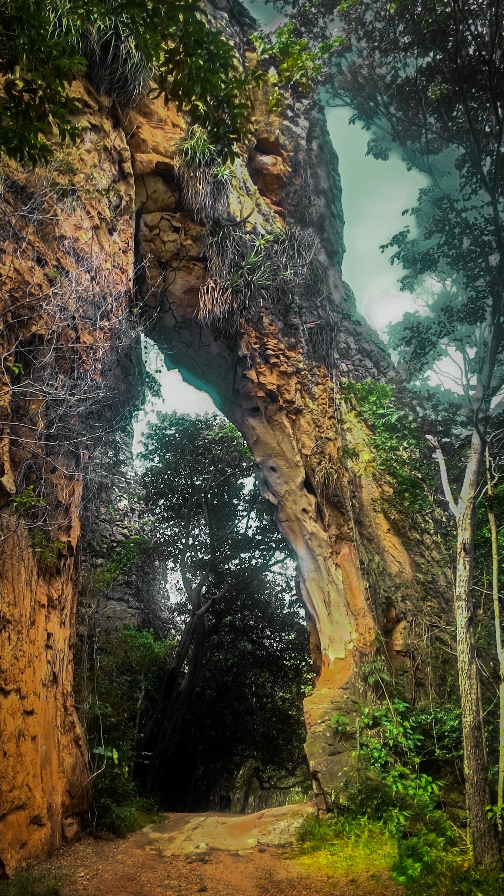 Sete Cidades National Park, Piracuruca