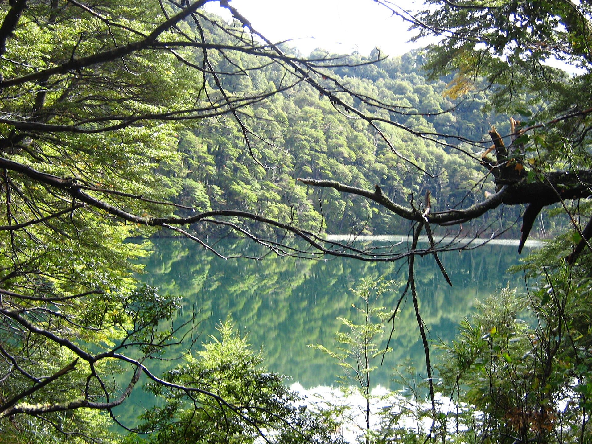 Seven Lakes Route, Bariloche