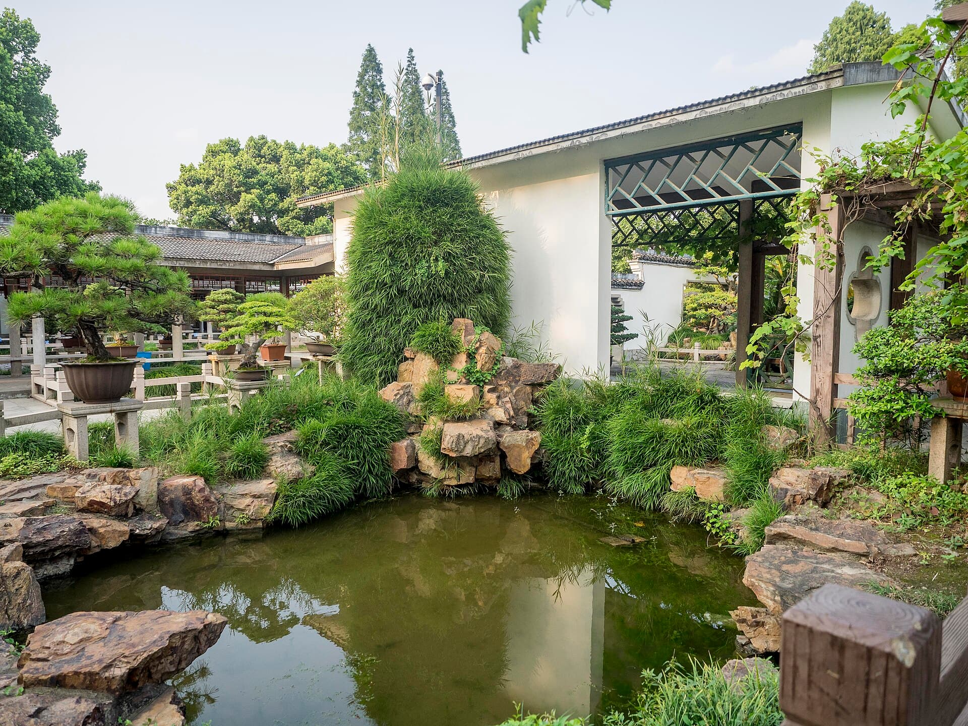 Shanghai Botanical Garden