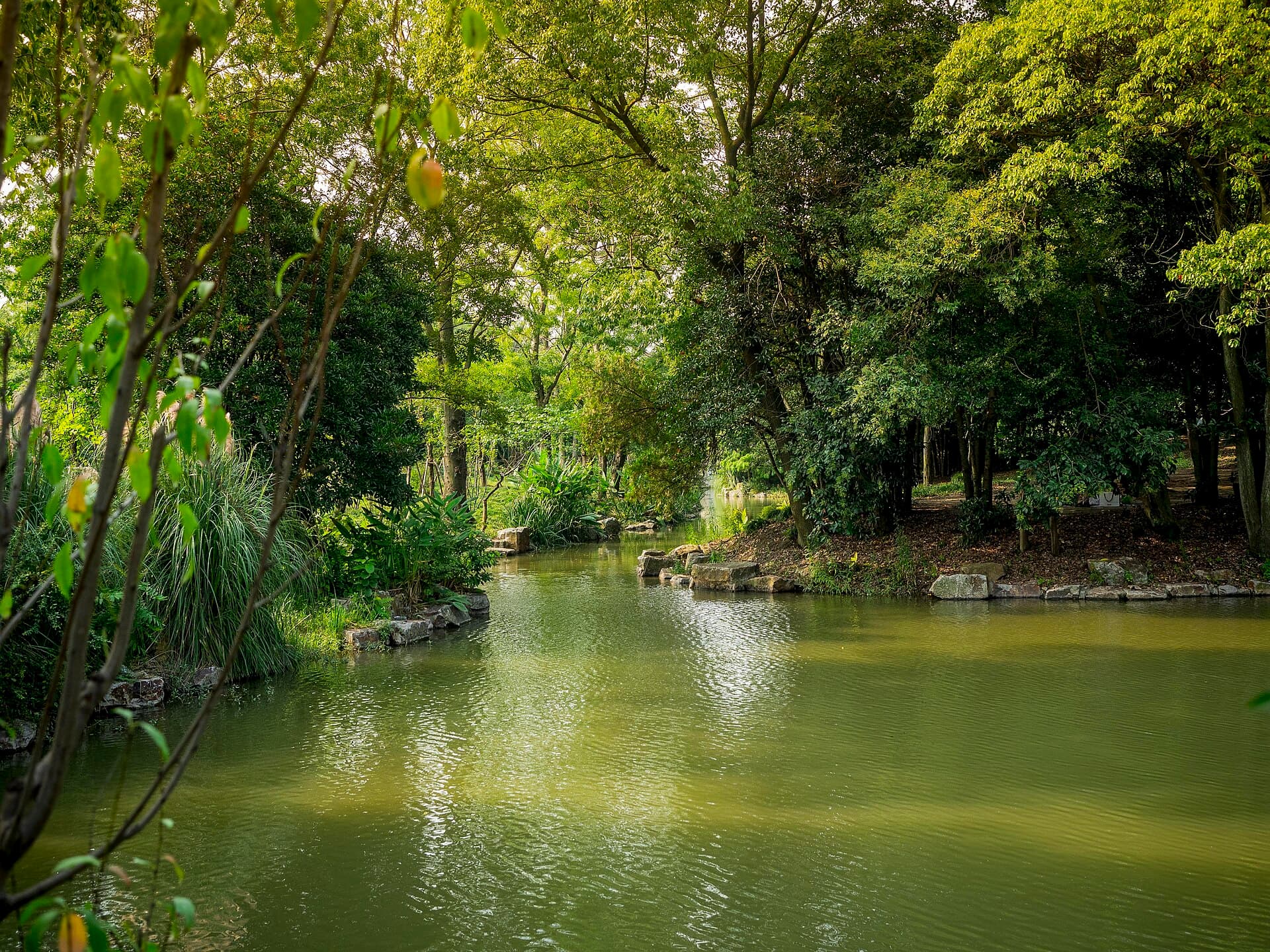Shanghai Botanical Garden