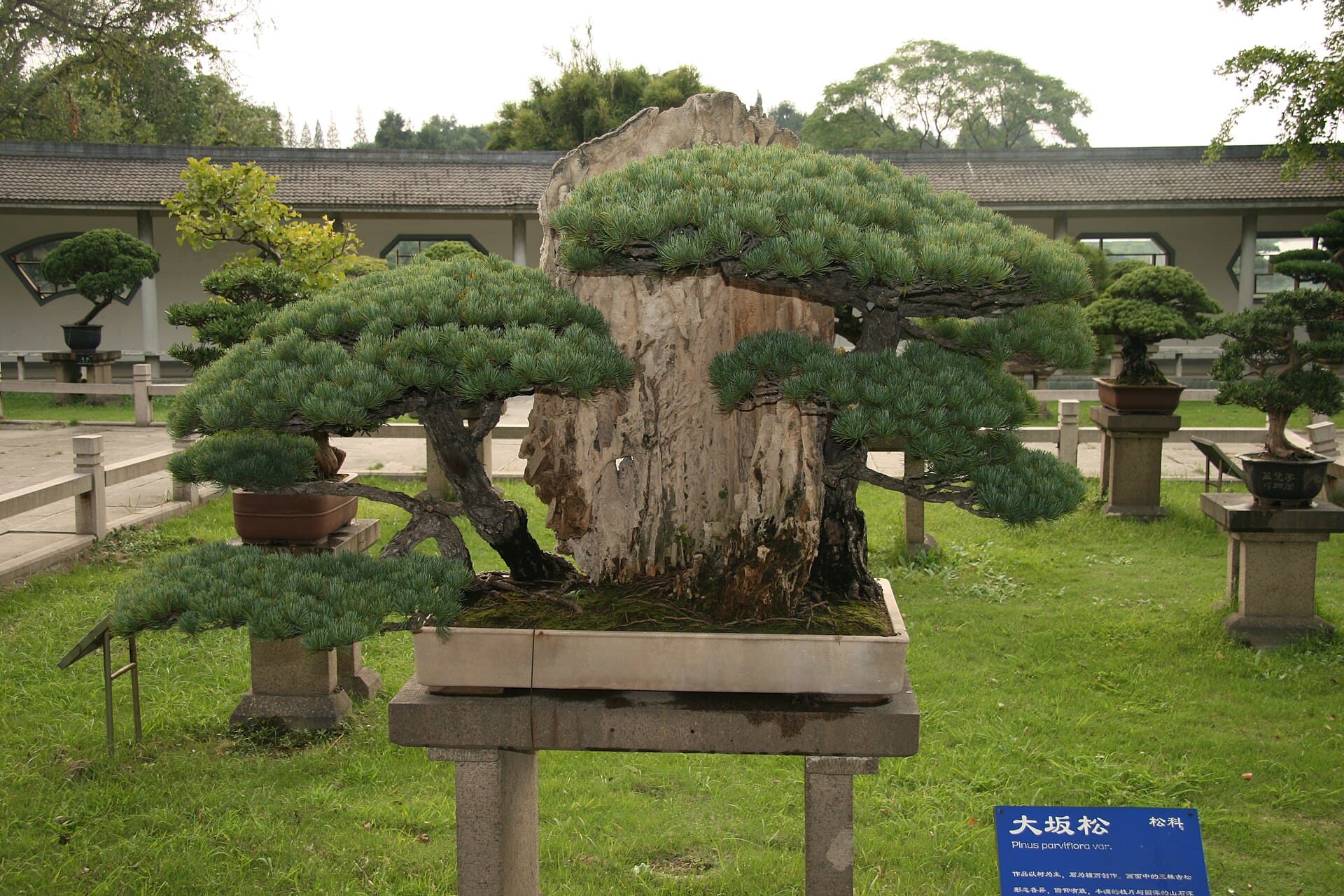 Shanghai Botanical Garden