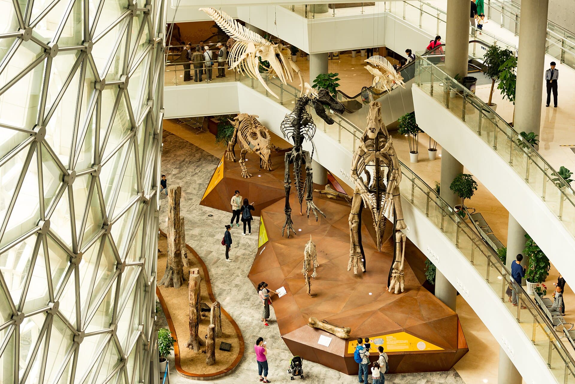Shanghai Natural History Museum