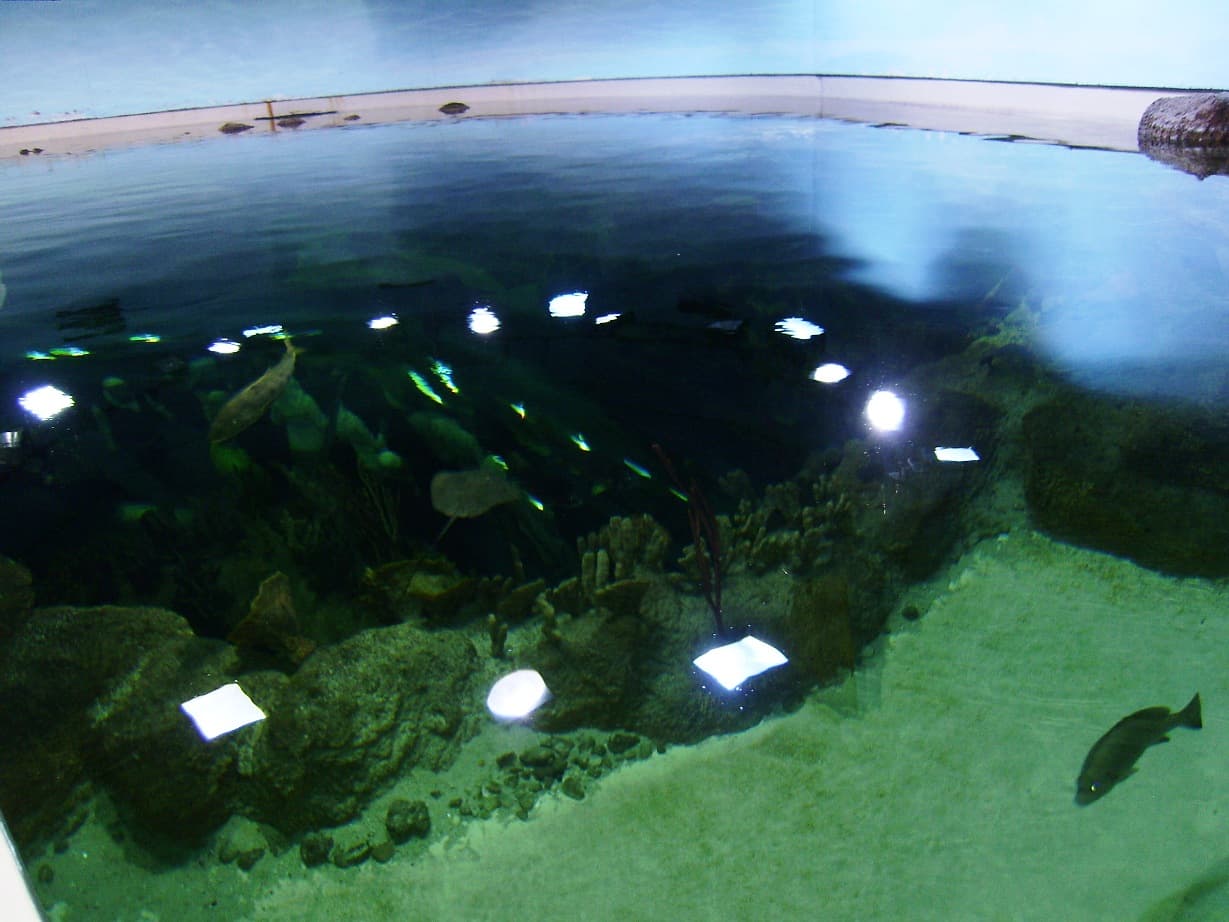 Sharjah Aquarium