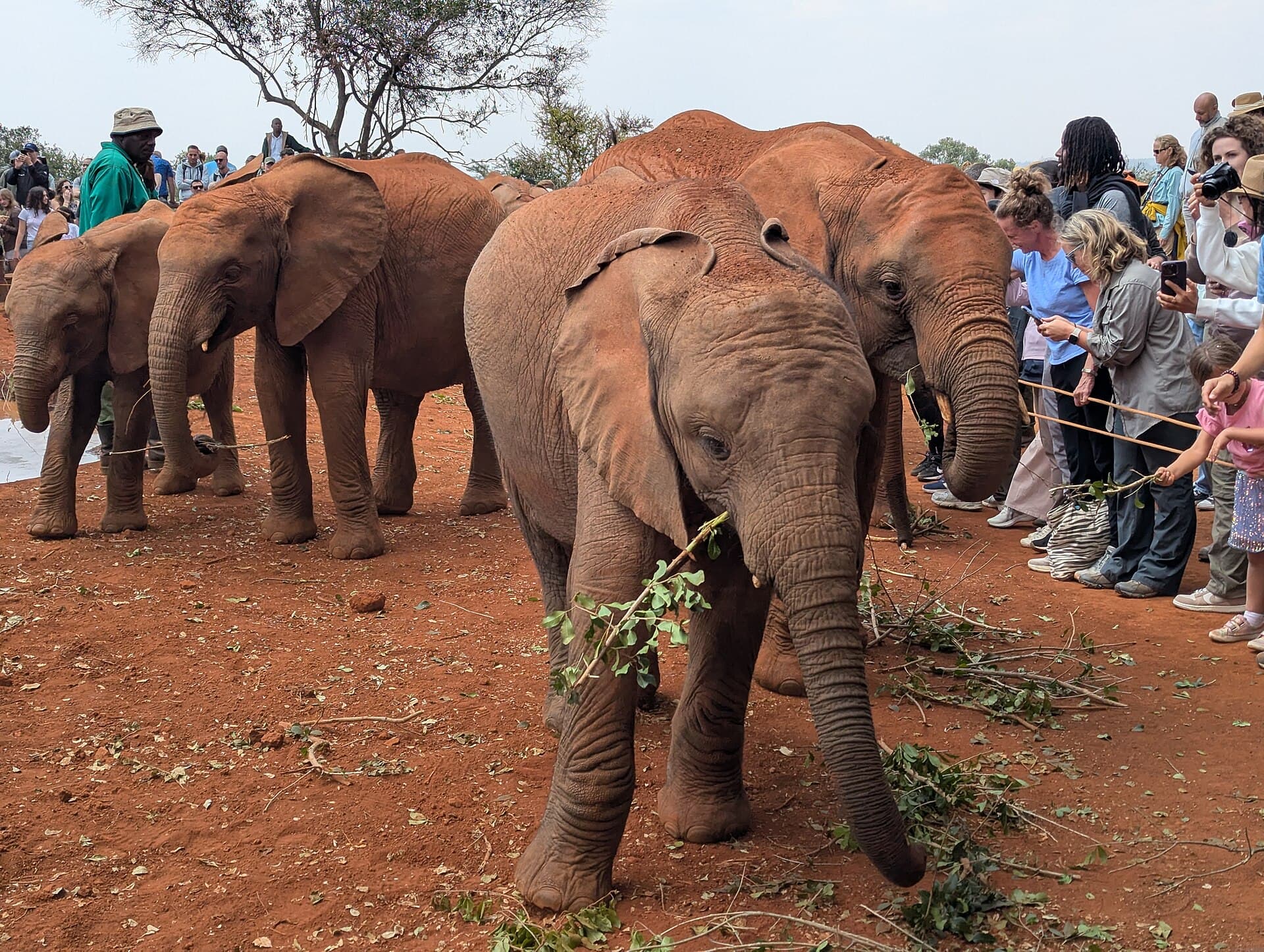 Nairobi