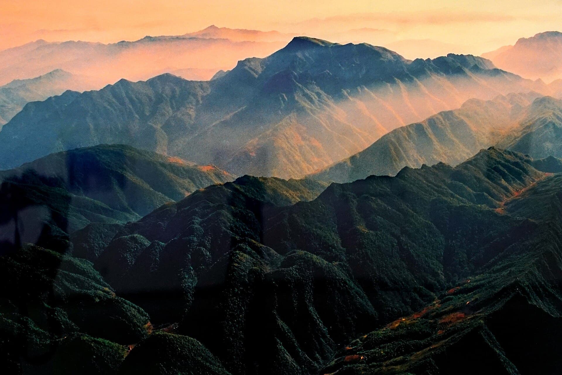 Shennongjia Forests