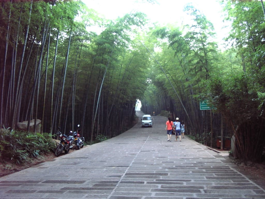 Shunan Bamboo Sea