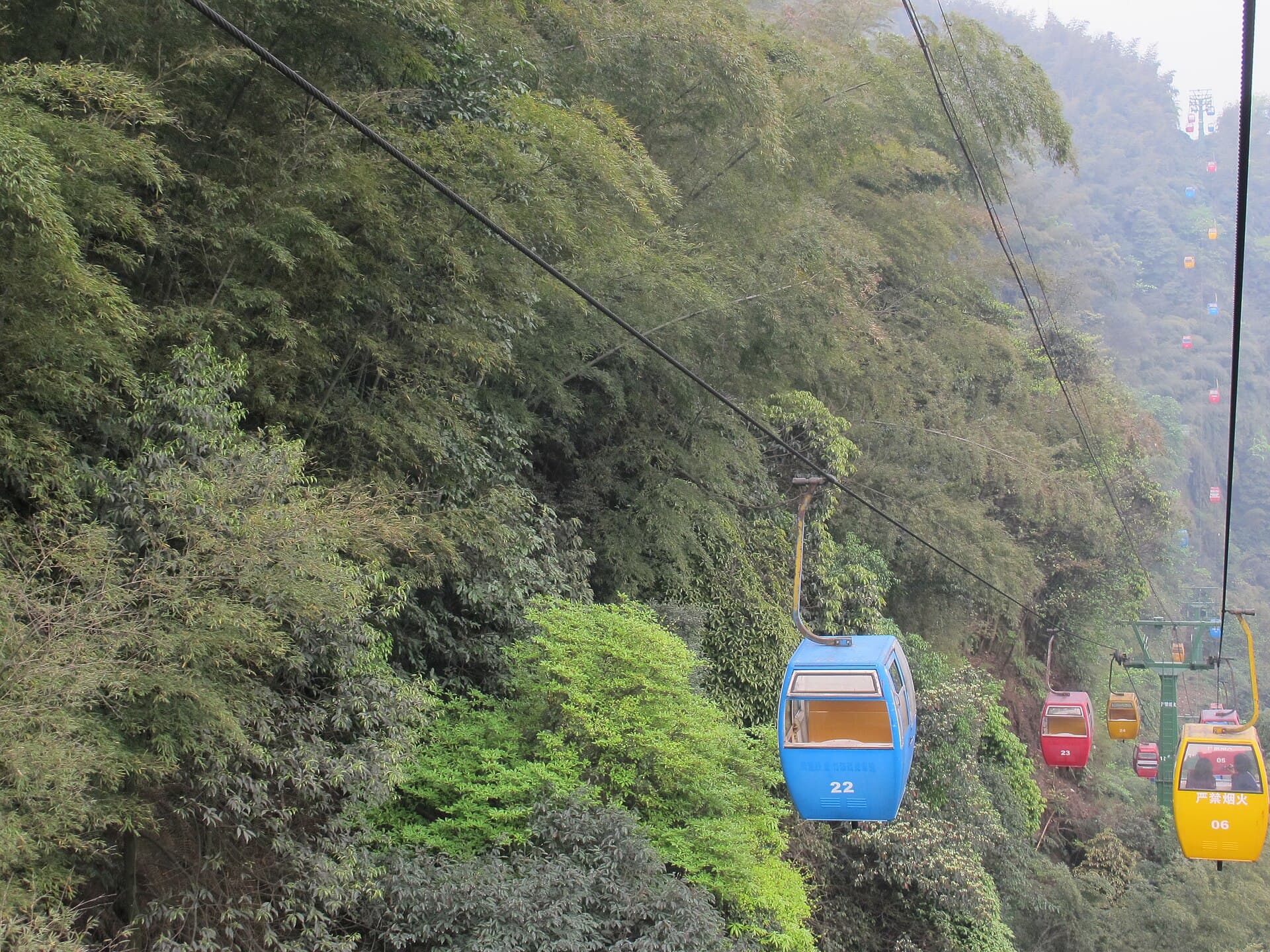 Shunan Bamboo Sea