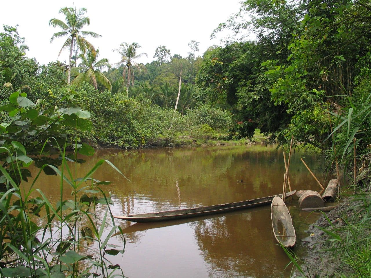 Siberut island and Mentawai culture