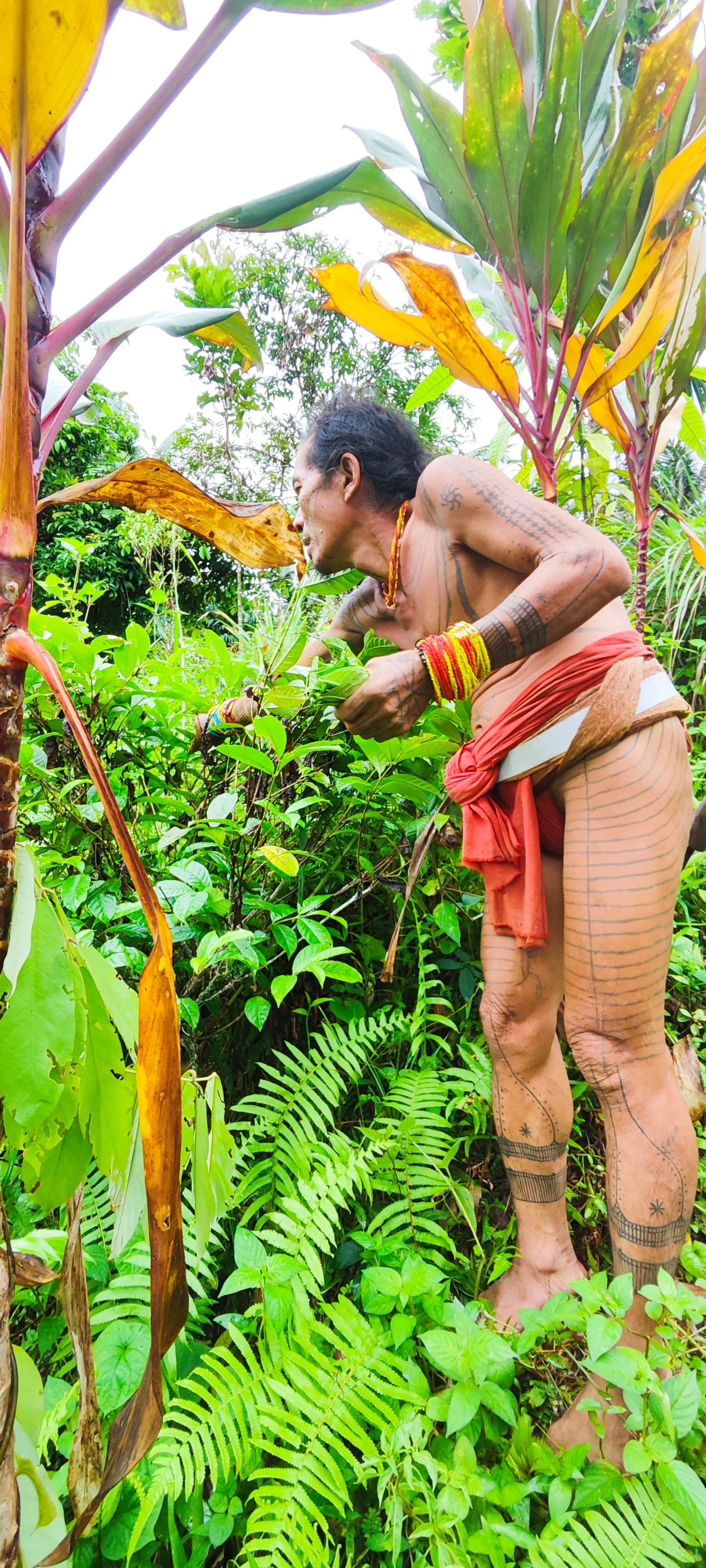 Siberut island and Mentawai culture