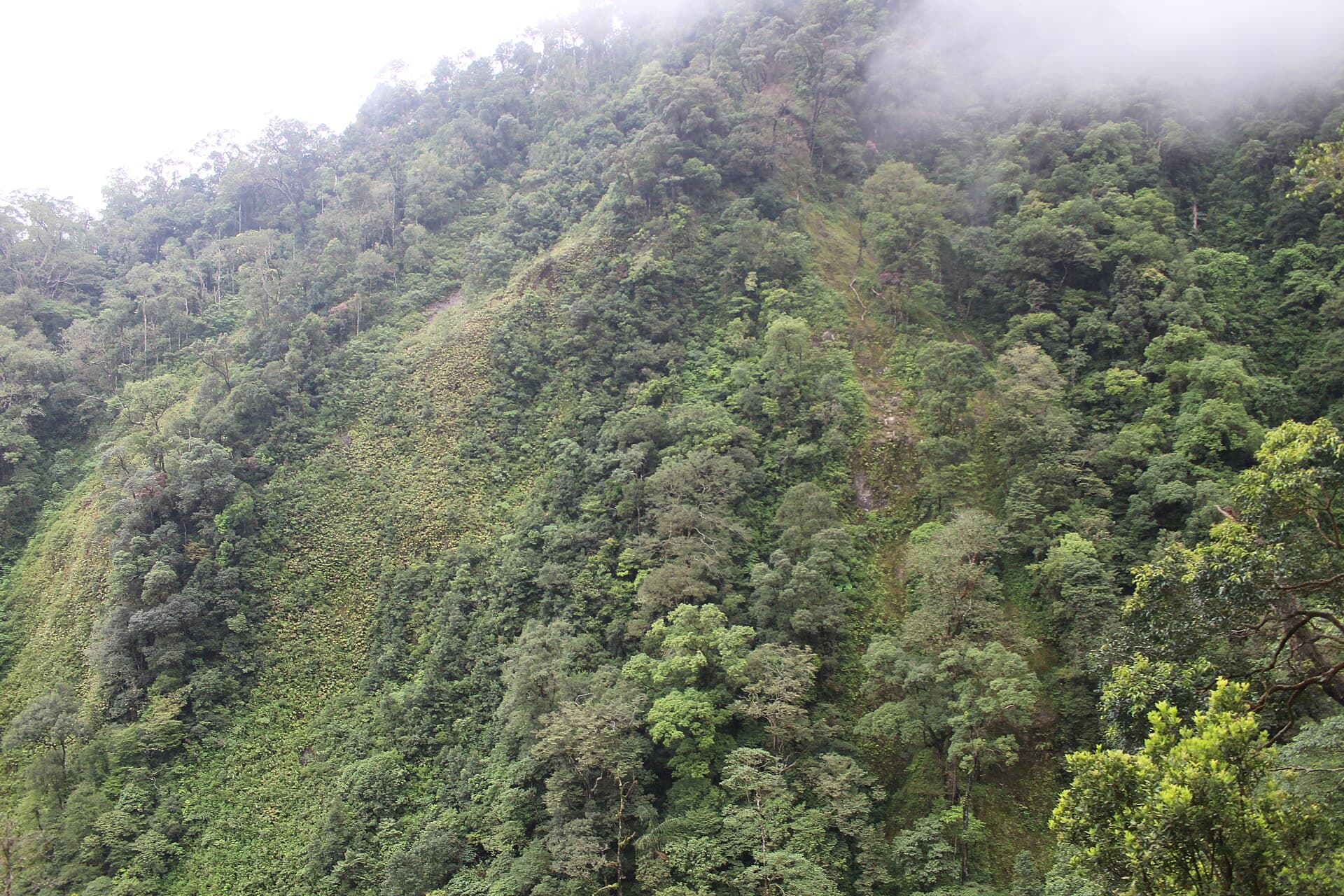 Sikulikap Waterfall, Medan