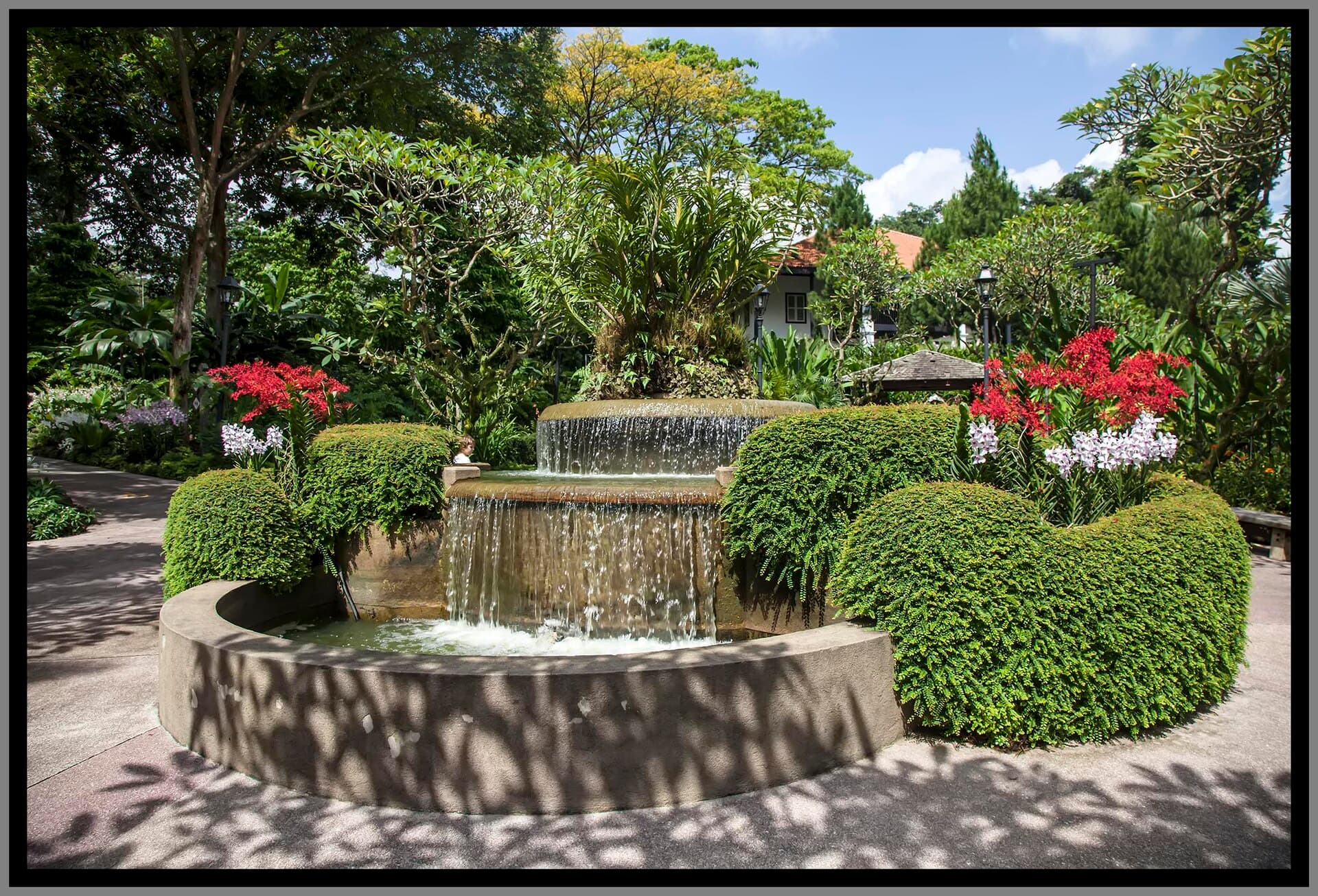 Singapore Botanic Gardens