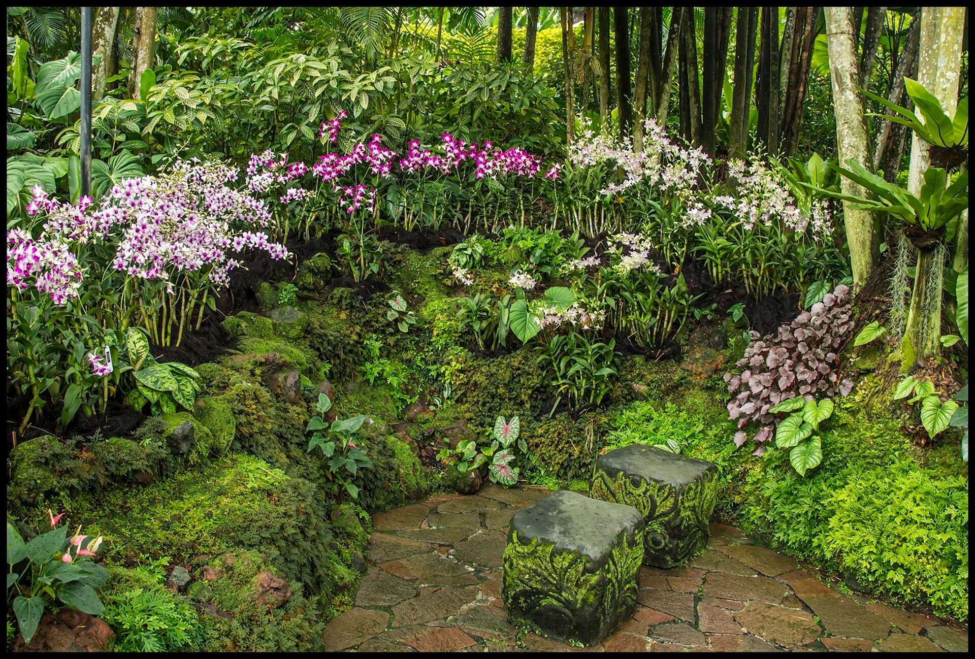 Singapore Botanic Gardens