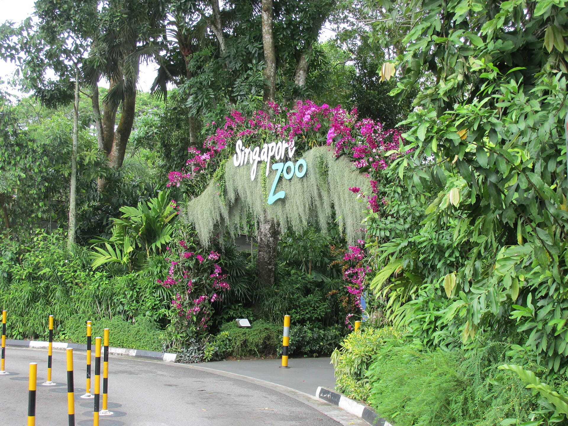Singapore Zoo