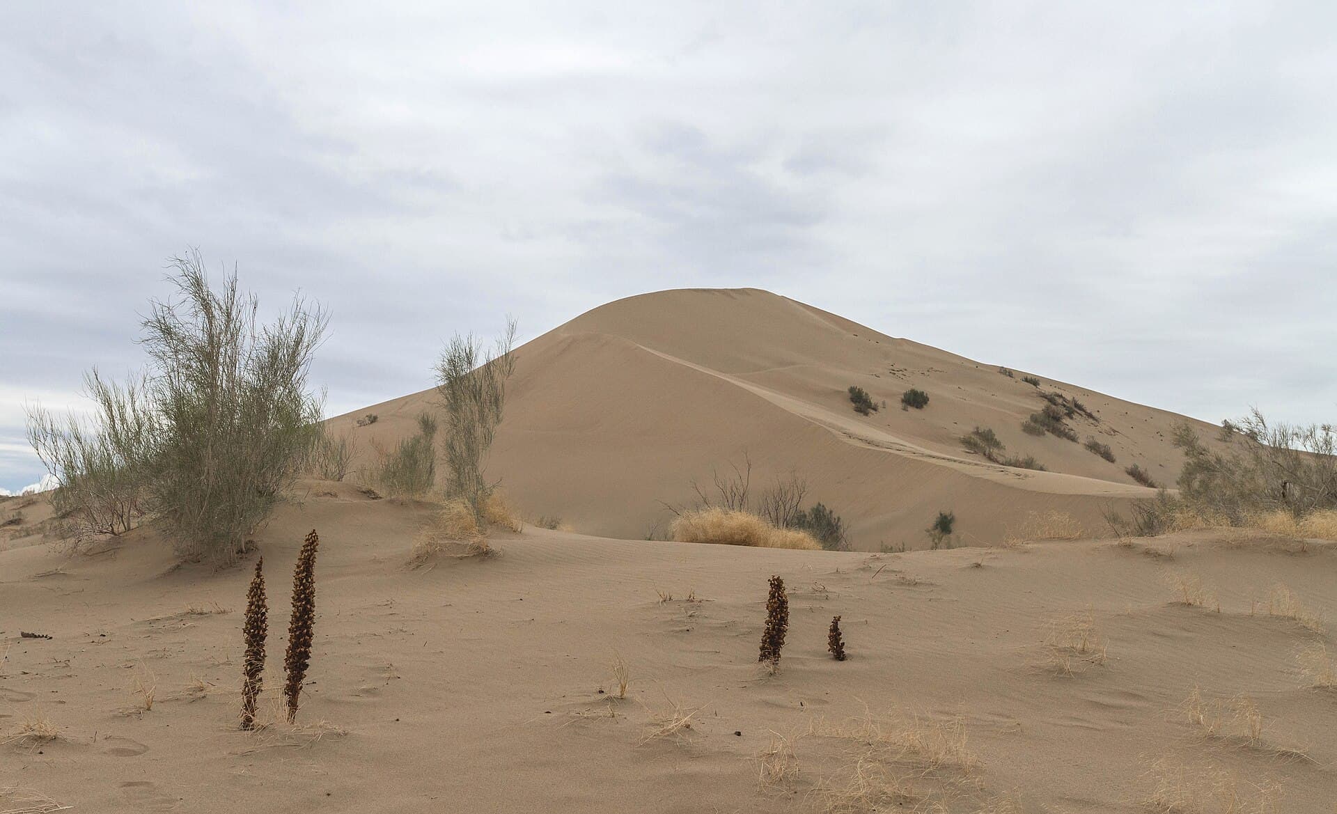 Singing Dune, Altyn-Emel