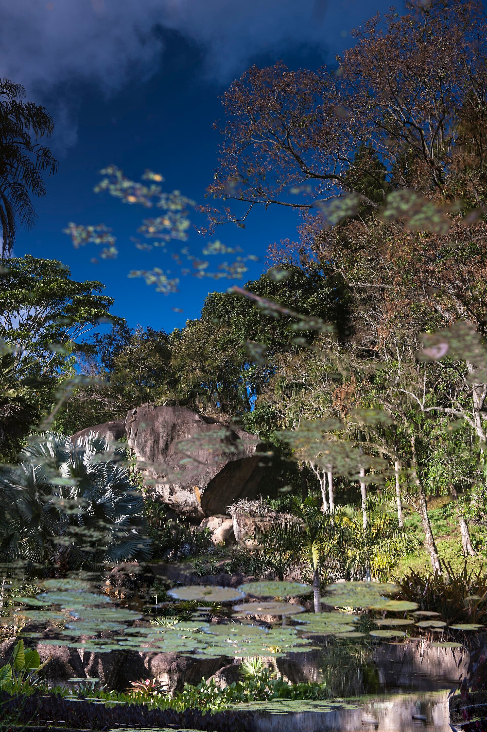 Sítio Roberto Burle Marx, Rio de Janeiro