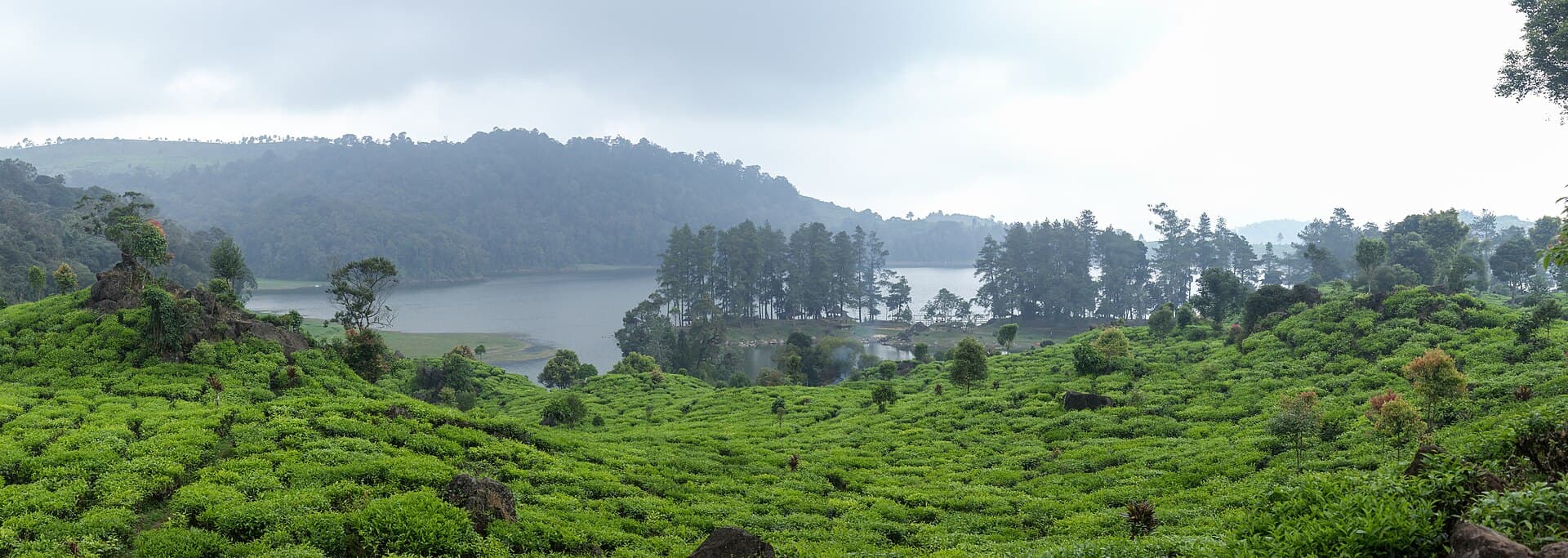 Lake Patenggang (Situ Patenggang), Bandung