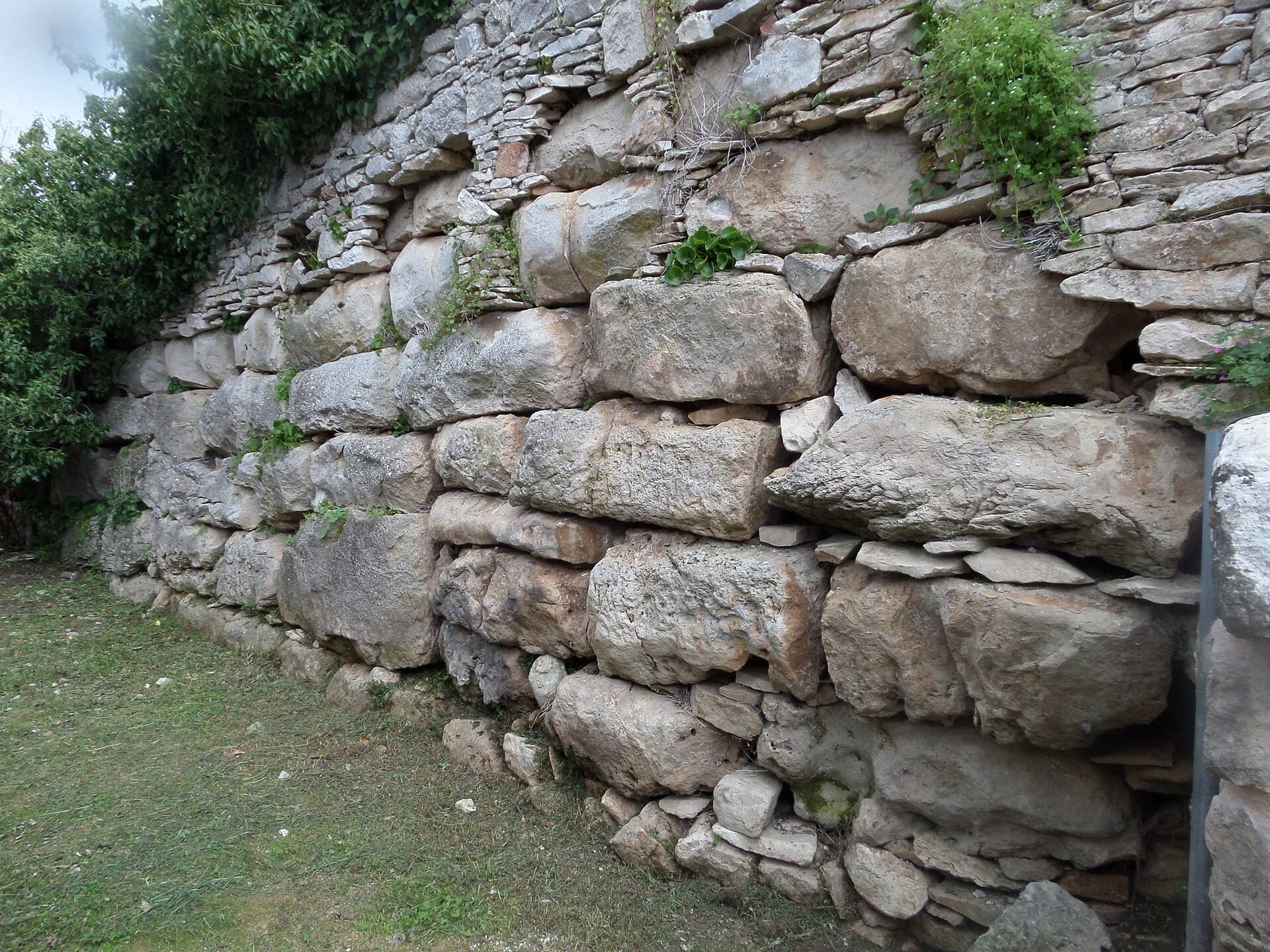 Škrip, Brač