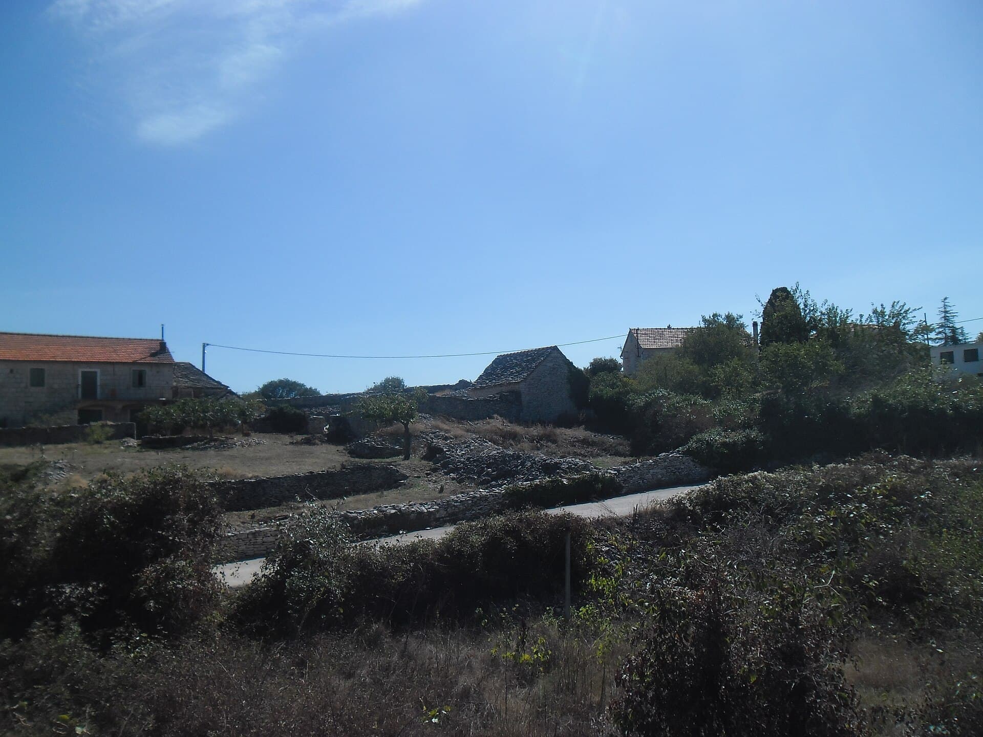 Škrip, Brač