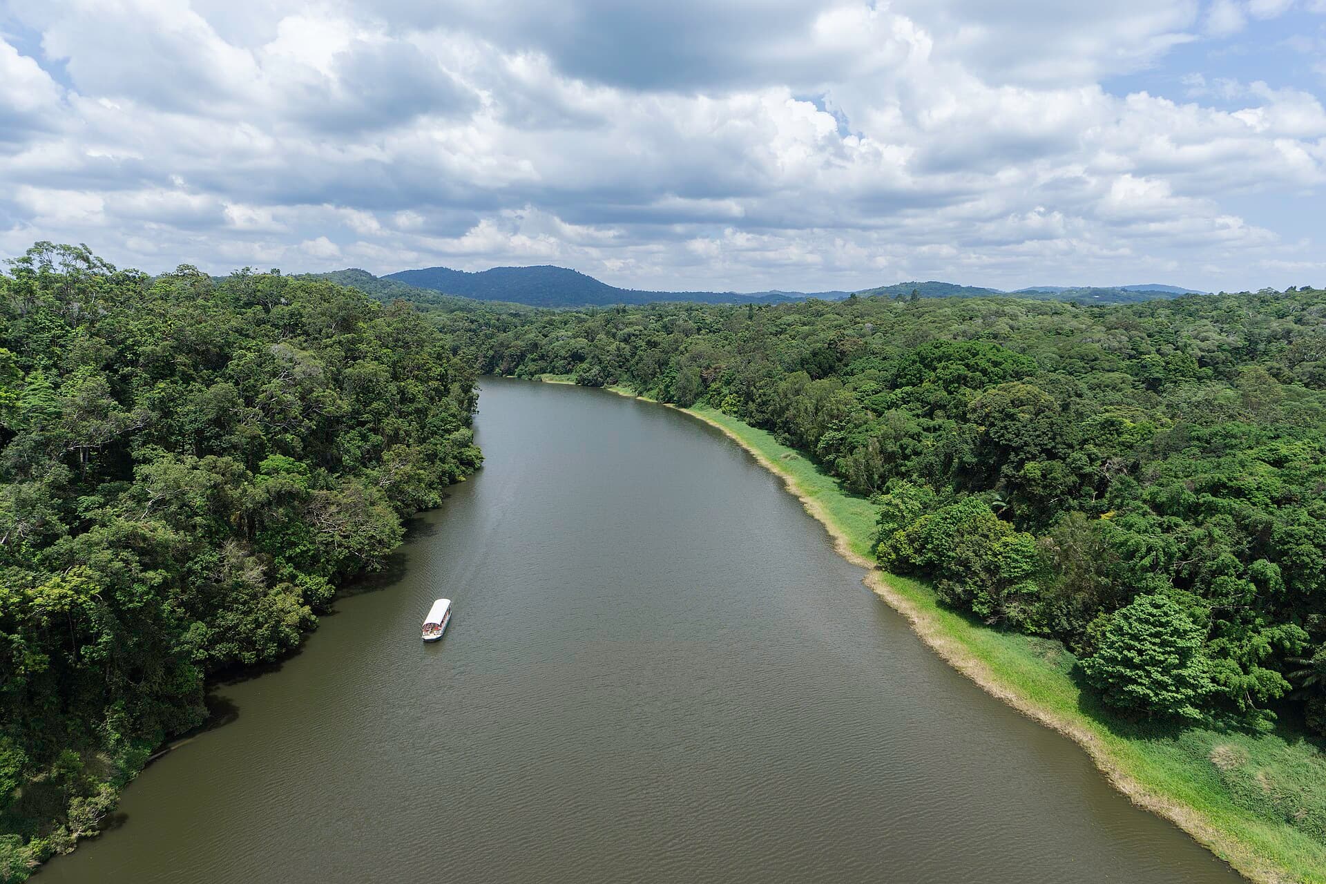 Skyrail Rainforest Cableway