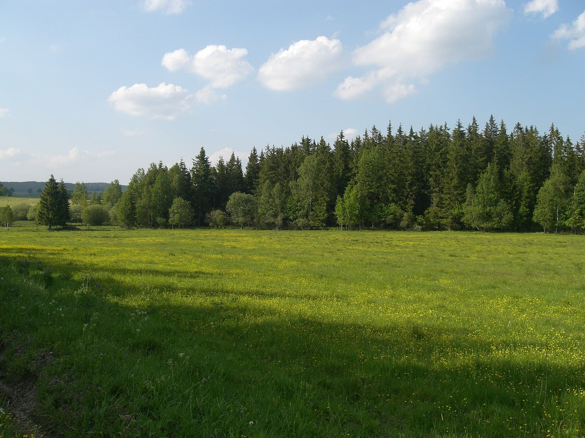 Slavkov Forest, Karlovy Vary