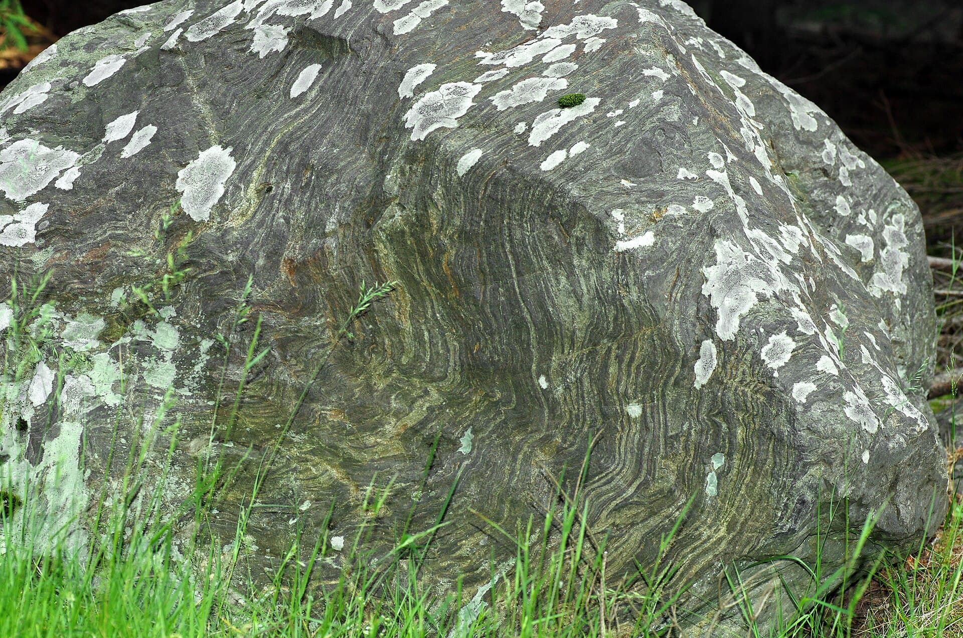 Slavkov Forest, Karlovy Vary