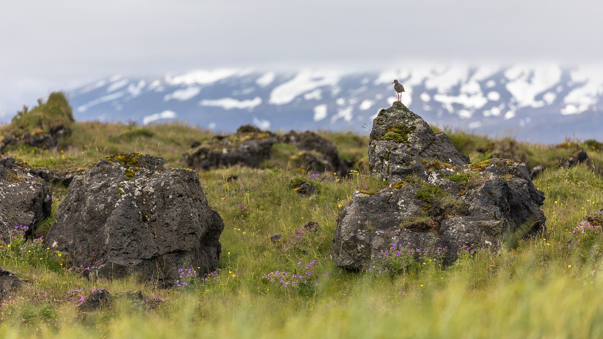 Snæfellsjökull National Park, Snæfellsnes