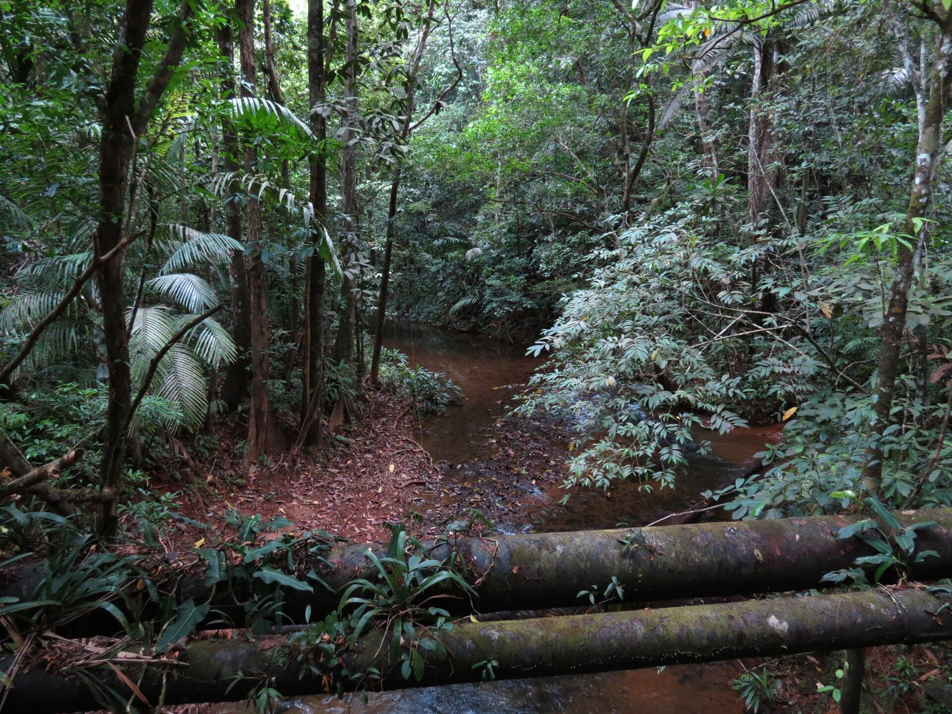 Pipeline Road, Soberanía National Park