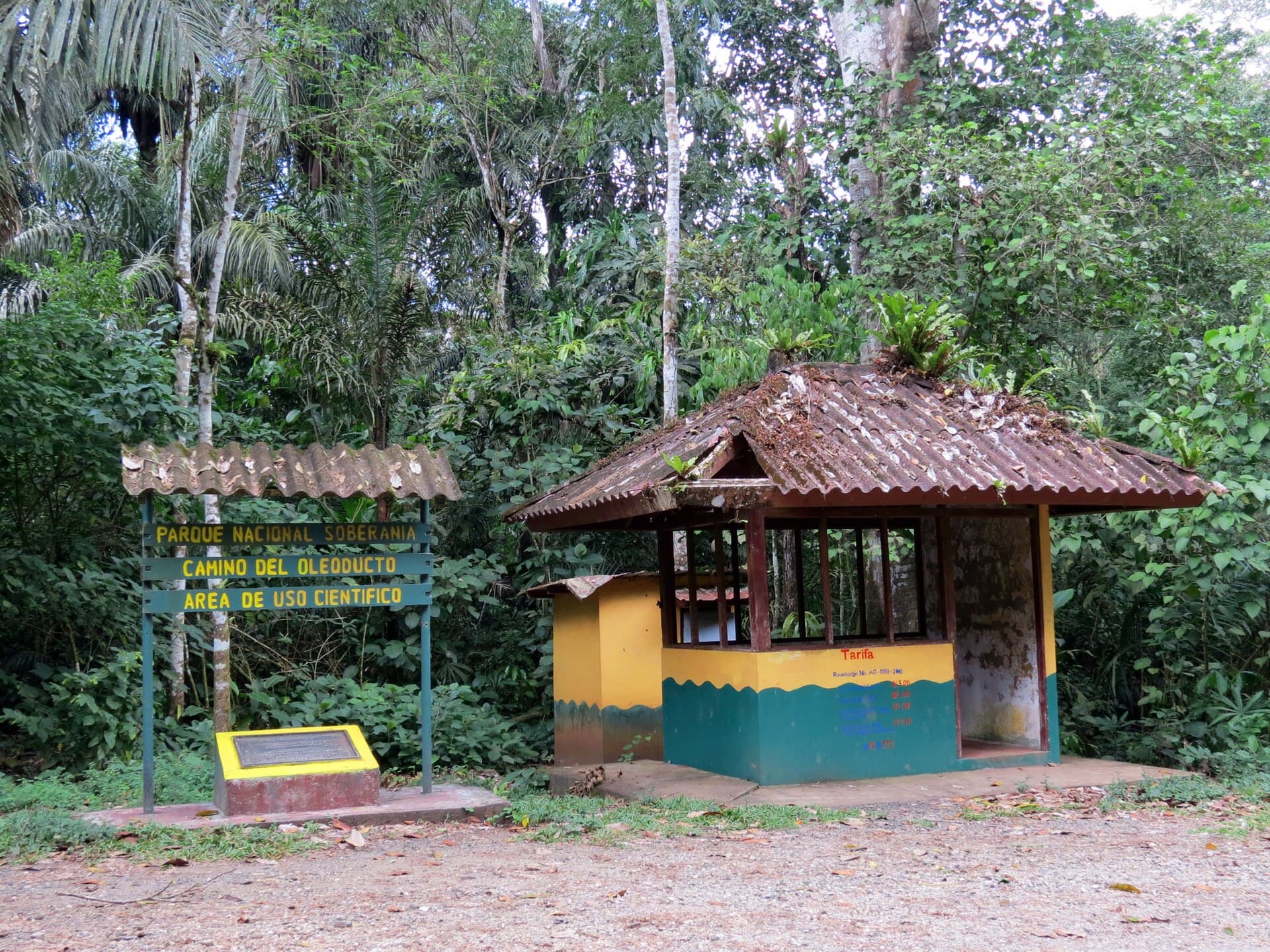 Pipeline Road, Soberanía National Park