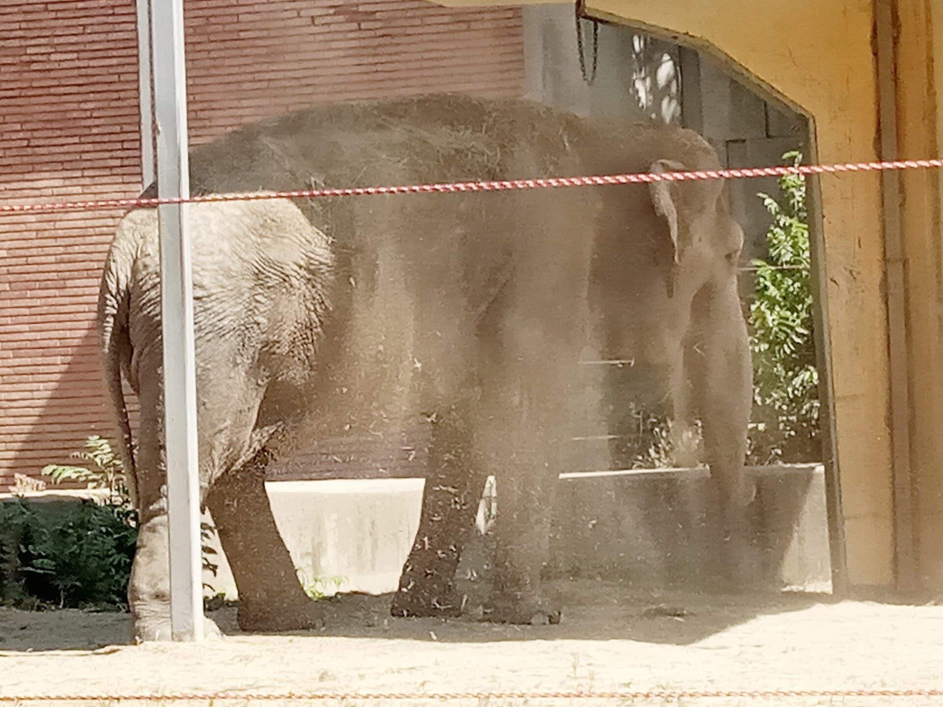 Sofia Zoo, Sofia