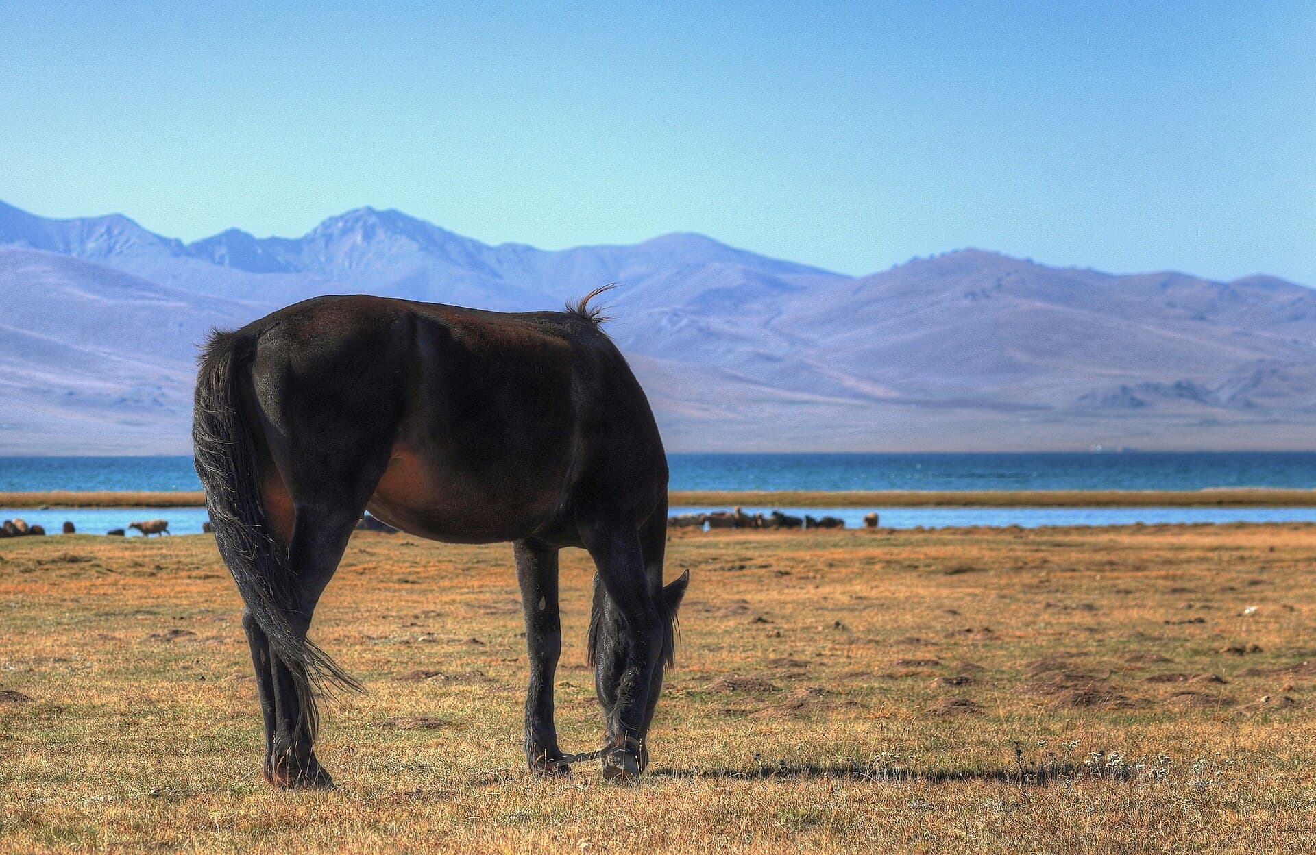 Song-Kul Lake, Naryn